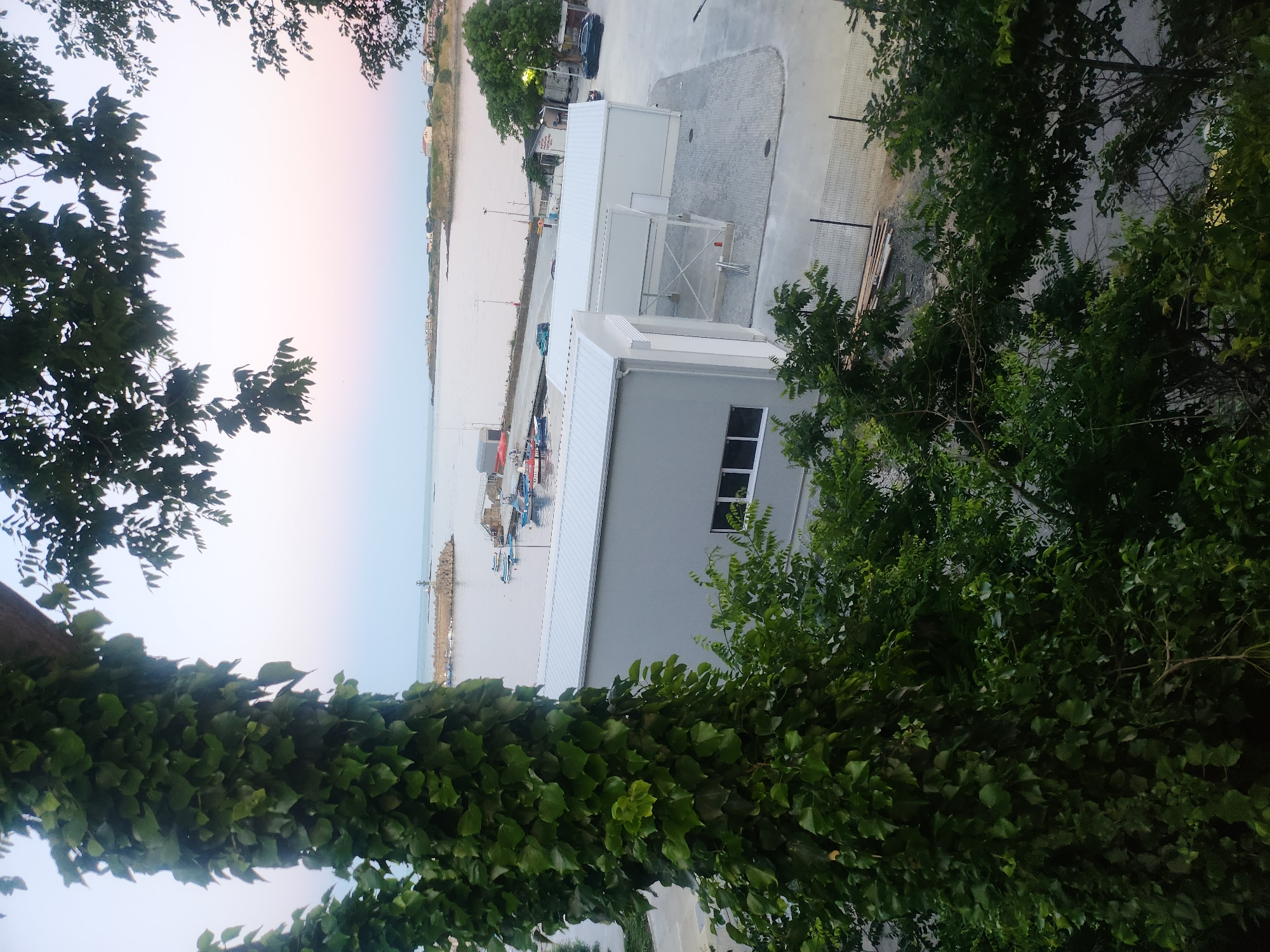 The image depicts a coastal scene in Tsarevo, Bulgaria, likely during twilight hours due to the soft pastel colors of the sky. In the foreground, a thick vine-covered tree trunk dominates the left side of the frame, with branches and leaves obscuring parts of the view. Beyond the foliage, a modern industrial area is visible, featuring two light gray rectangular buildings with white metal roofs. These structures appear to be part of a port or service area.
The middle ground reveals a harbor with several small boats moored. A concrete breakwater, topped with a lighthouse, extends into the sea. The water is calm and reflects the muted sky. In the distance, the coastline is dotted with buildings and lush greenery, characteristic of a coastal town. The overall impression is one of a quiet, functional port area transitioning into the evening. There are no visible people or specific actions occurring in the scene.