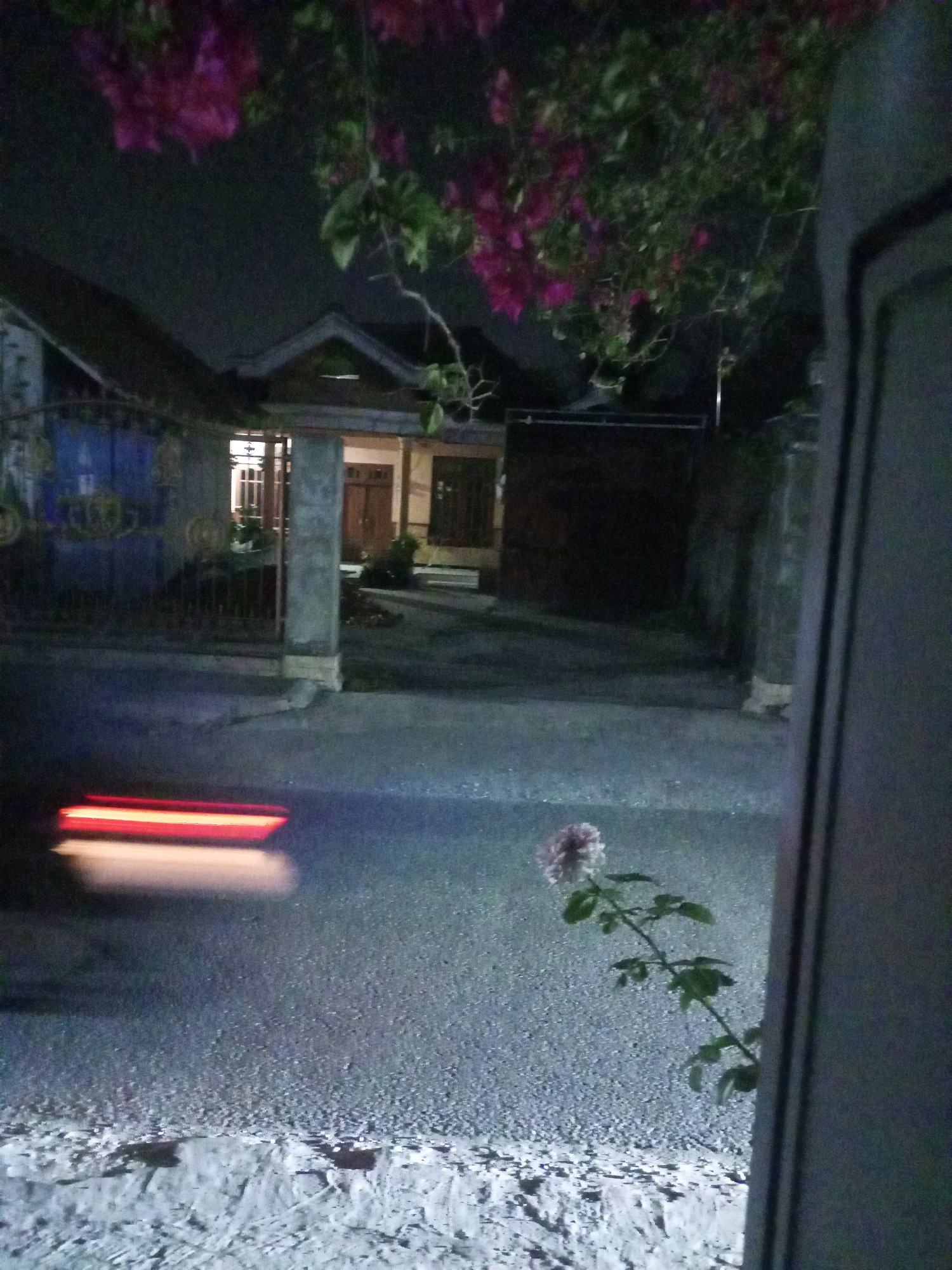 The image depicts a nighttime scene on a street in Ngasem, Indonesia. In the foreground, blurred red and white lights suggest a moving vehicle's taillights. A single pink flower on a stem is visible on the right side of the road, with its leaves casting shadows on the asphalt. In the background, a house with a traditional Indonesian architectural style is illuminated by interior lights. A blue gate with decorative elements is positioned in front of the house, and a concrete pillar stands to the right of the gate. Overhanging the scene from the top are branches of a tree with pink flowers and green leaves, common in tropical regions. The overall impression is of a quiet, residential street at night.
