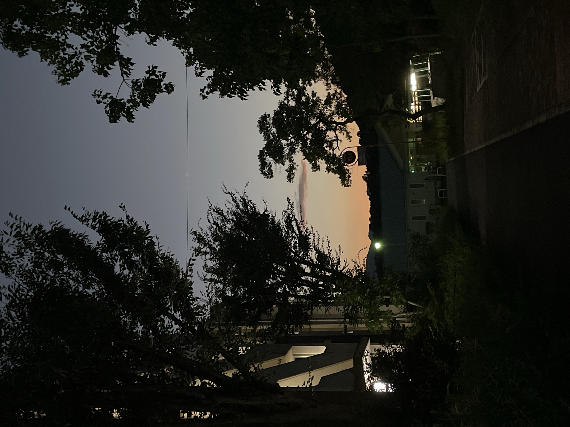 A twilight scene unfolds in Otsu, Japan, featuring a pathway lined with trees and buildings. On the left, a dark building with illuminated windows is partially obscured by the silhouette of a large tree. The pathway leads into the distance, bordered by greenery. Further down the path, a low-rise building with lights is visible, nestled amongst trees and a lamppost. The sky displays a gradient of colors, transitioning from the warm hues of sunset near the horizon to a deep, dusky blue above. A distant mountain range is faintly discernible against the twilight sky.