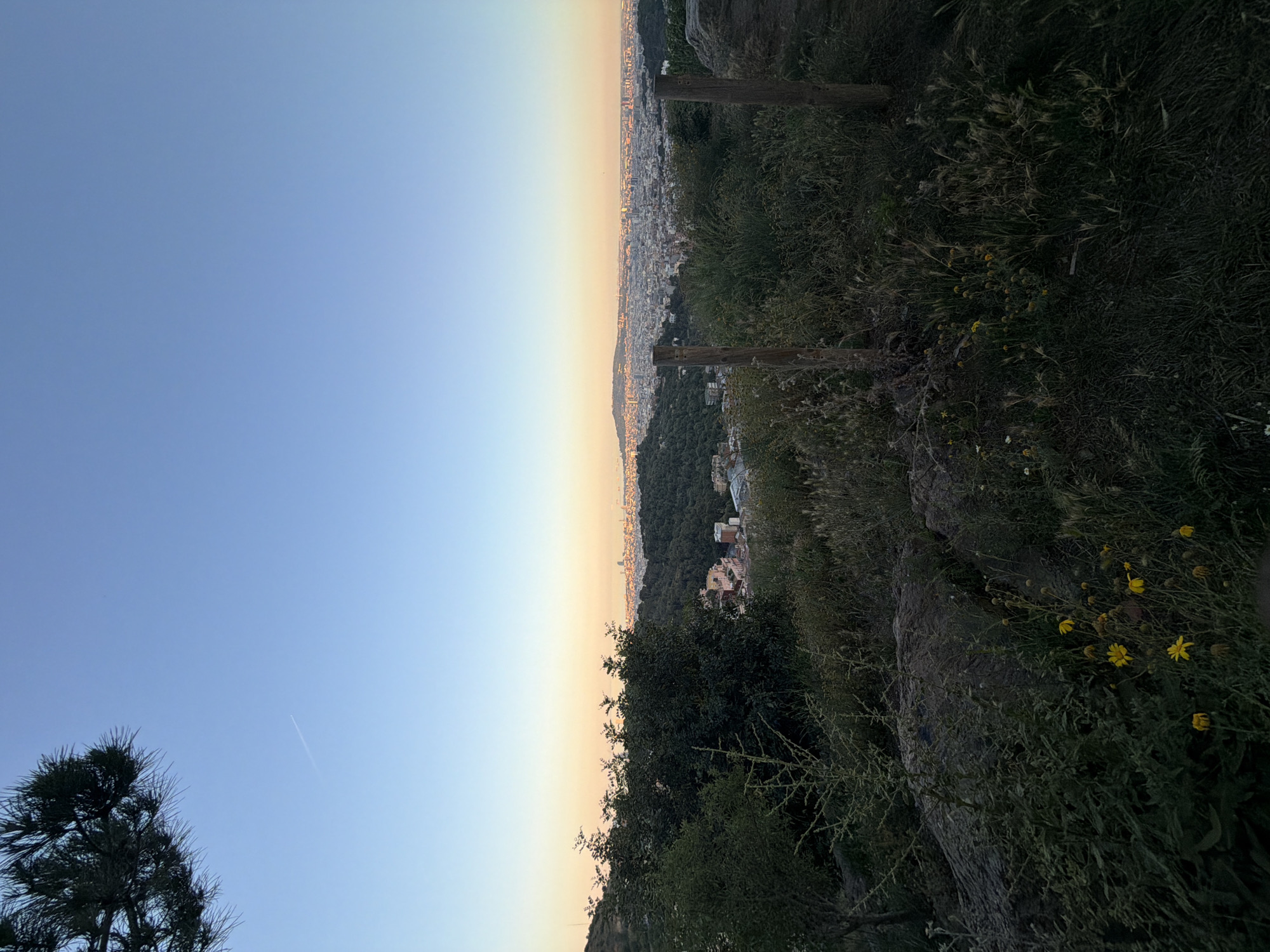 The image depicts a view overlooking Barcelona, Spain, at what appears to be dusk or dawn. The sky transitions from light blue to a warm golden color near the horizon where the city stretches out.
In the foreground, there's a rocky terrain covered with vegetation, including grass, shrubs, and some yellow wildflowers. Two wooden posts stand among the greenery.
To the left of the frame, there is a pine tree, and above it, a contrail is visible in the sky. The cityscape in the distance consists of a dense arrangement of buildings, and the coastline can be faintly seen.