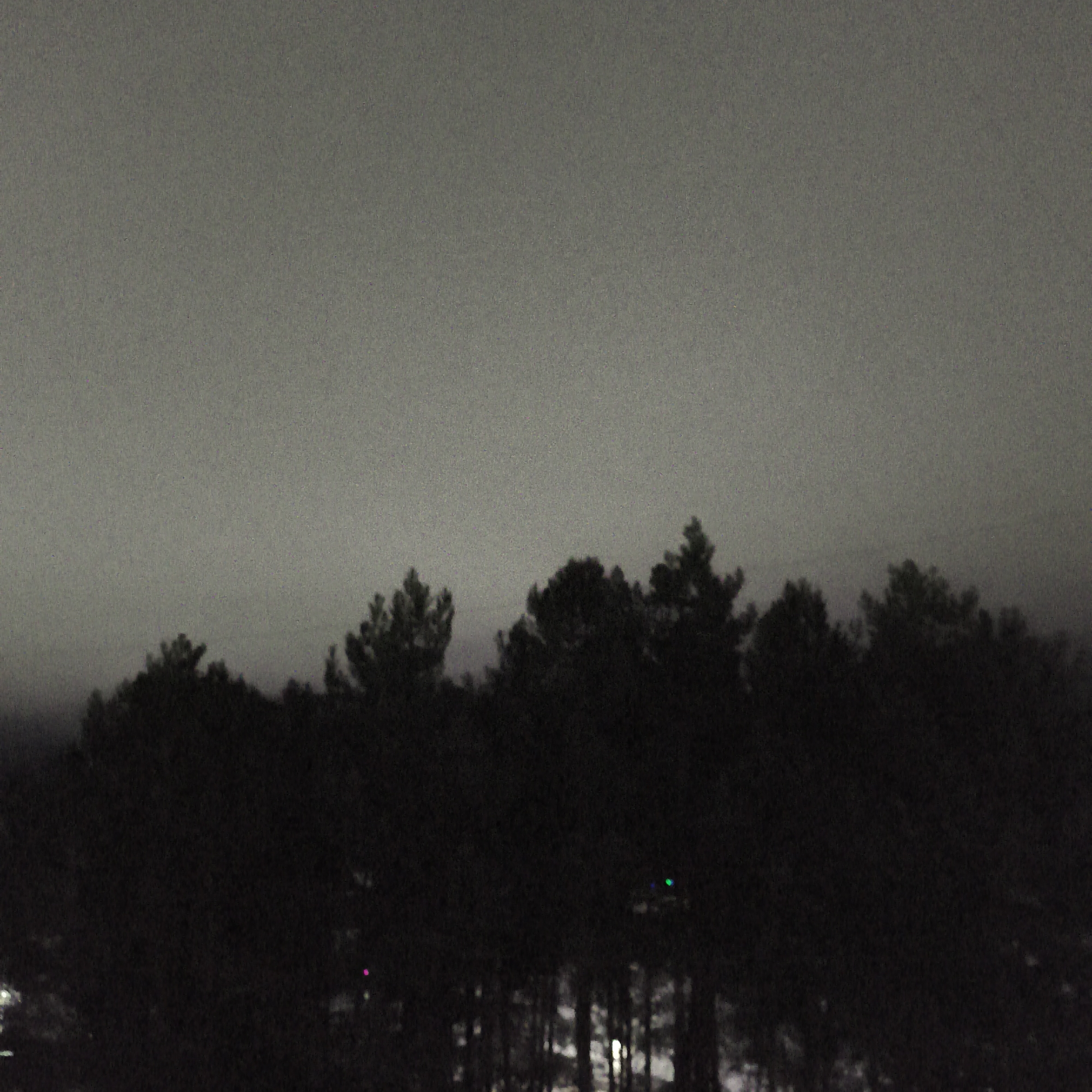 The image depicts a night scene in Chaikovsky, Russia. In the foreground is a dense row of trees, silhouetted against a grey, overcast sky. The trees are predominantly dark, with minimal detail visible. In the background, faint patches of white suggest either snow-covered ground or artificial lighting sources. Small pinpoints of light, colored green and pink, are visible within the tree line, likely from distant light sources. The overall environment is dark and hazy, indicating low visibility conditions.