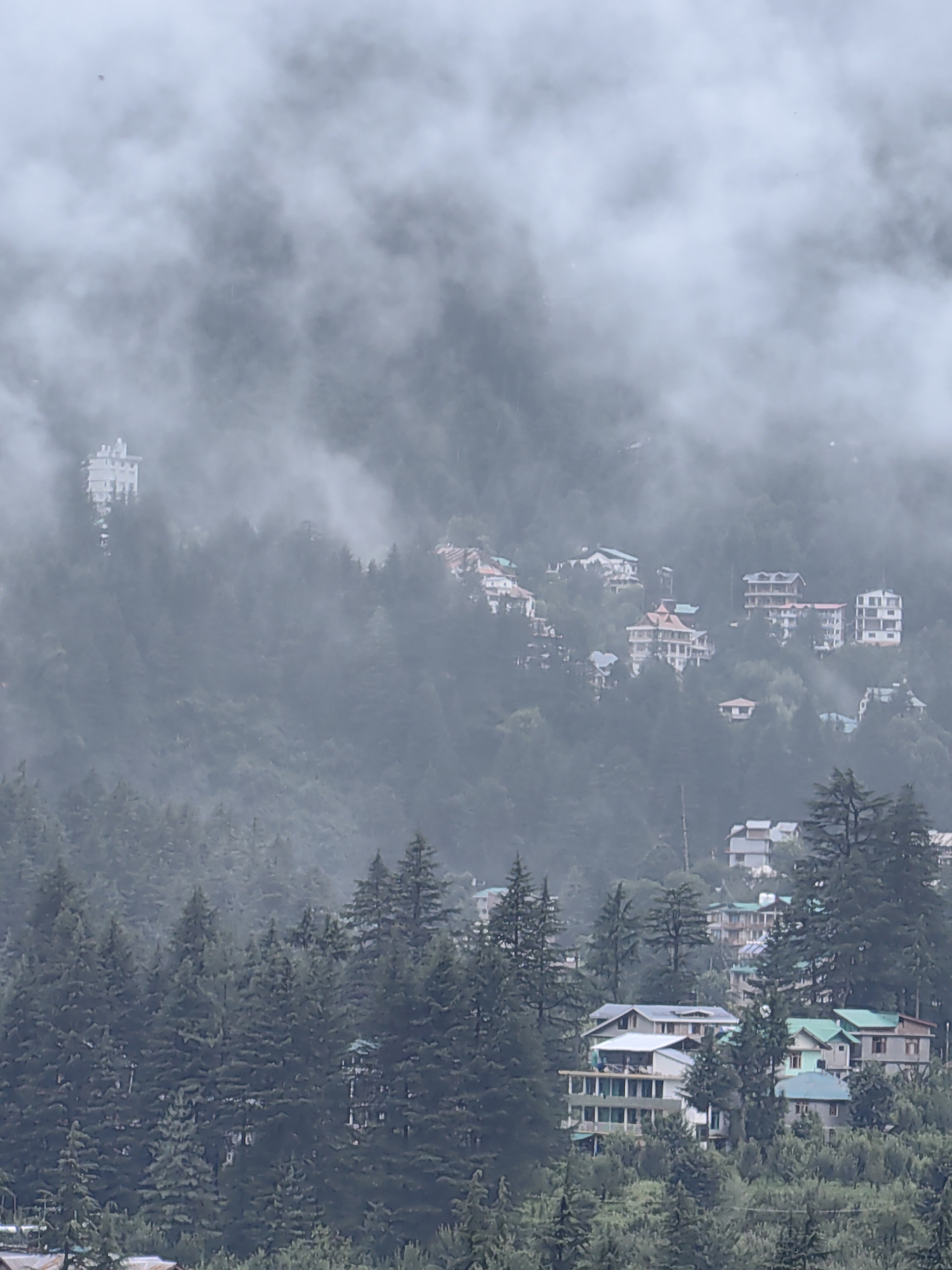 The image depicts a serene mountain village nestled amidst dense evergreen forests, shrouded in a thick, ethereal mist. The scene is set on a steep hillside, suggesting a location in a mountainous region like Manali, India. Numerous multi-story buildings, appearing to be residential homes or guesthouses, are scattered across the slopes, some peeking through the fog while others are more clearly visible. Their architecture is varied, with some featuring balconies and sloping roofs, indicative of a temperate climate. The dominant colors are the deep greens of the pine trees and the muted whites and grays of the buildings and the mist. The weather appears overcast and damp, with the mist creating a soft, diffused light, hinting at a potentially rainy or foggy morning or afternoon. There are no people visible, adding to the tranquil and secluded atmosphere. The overall impression is one of peaceful isolation, where nature and human habitation coexist harmoniously in a misty mountain landscape. The dense foliage and the layered presence of buildings create a sense of depth and scale. The image captures a moment of stillness, where the enveloping mist softens the edges of the world and evokes a sense of quietude.