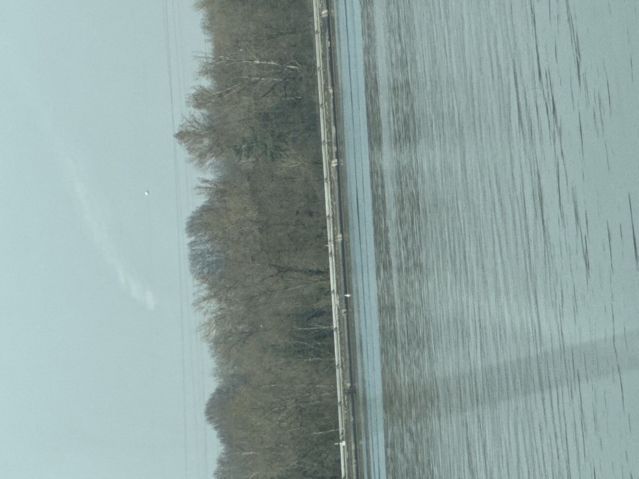The image captures an outdoor scene in Altenheim, Germany, dominated by a body of water in the foreground under a light blue-grey sky. The water surface exhibits numerous ripples and reflections. A low, concrete or paved barrier, topped by a metallic guardrail, extends horizontally across the midground, separating the water from a landmass. A small, white bird is perched on this barrier, positioned slightly to the left of the image's vertical center. Behind the barrier, a dense treeline of predominantly bare deciduous trees, interspersed with some evergreen foliage, forms the horizon. The sky is a uniform light blue-grey, appearing hazy or lightly overcast. Faint, horizontal lines consistent with overhead power lines are visible in the upper sky. A small, distinct, white spherical object is present in the upper-mid sky, to the right of the image's center point. Additionally, a faint, elongated, wispy white cloud or contrail is visible in the upper-left quadrant of the sky.