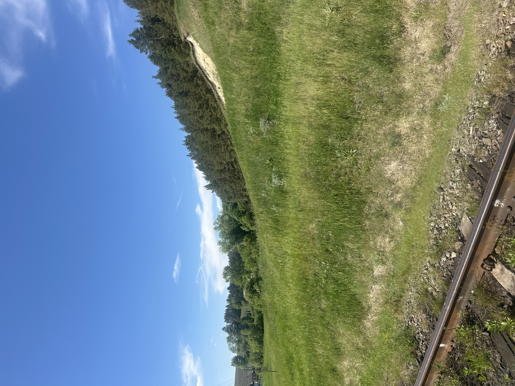 The image shows a section of railway tracks in Karnachivka, Ukraine. The tracks run along the right side of the frame, with ballast visible beneath and around the rail. To the left of the tracks, there is a grassy area that transitions into a dense tree line further in the background. A blue sky with scattered clouds occupies the upper-left portion of the image. The scene appears to be rural and possibly adjacent to a wooded area.