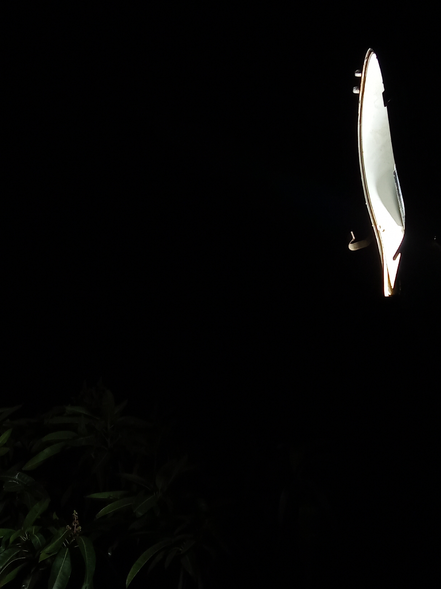 In the darkness of what appears to be Juan Griego, Venezuela, a partially illuminated white satellite dish stands prominently on the right side of the image. The dish is positioned high, reflecting light that highlights its curved surface and edges. To the lower left, shadowed foliage suggests the presence of a bush or small tree. The overall scene evokes a sense of nighttime in a residential or semi-rural setting.