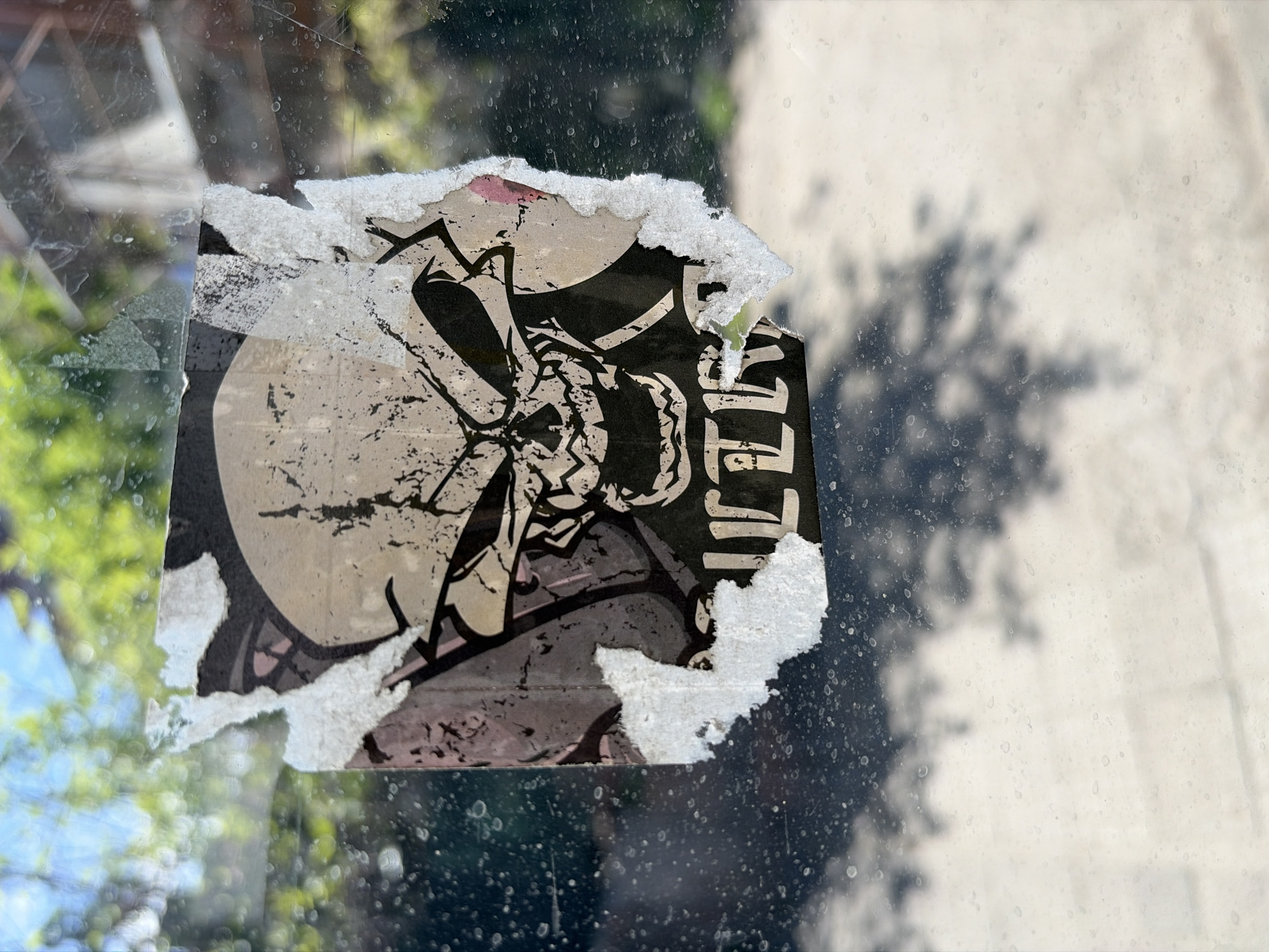 A close-up photograph captures a damaged sticker affixed to a dirty window, presumably in Plovdiv, Bulgaria. The central subject is the sticker, which depicts a stylized skull rendered in light beige or grey tones against a dark, possibly black, background. Detailed features are visible around the skull's eye sockets, nasal cavity, and teeth. To the right of the skull image, partially visible white text on the dark background clearly spells out "ILLE" or "ILLER," strongly suggesting the word "KILLER."
The sticker is significantly worn and torn, with large sections of its edges peeled away, exposing a rough, white paper texture underneath and faint hints of pink in some areas. The window glass itself is covered in numerous small dust or water spots, creating a mottled and slightly hazy effect that obscures the background.
Through the grimy window, a blurred outdoor scene is discernible. On the left, vibrant green foliage from trees or bushes indicates a natural element in the surroundings. On the right, a light-colored ground surface, likely pavement or concrete, stretches out. A prominent, sharply defined shadow of tree branches is cast across this ground, suggesting bright daylight, likely midday or afternoon. The scene conveys a sense of urban environment with an element of street art or decay. No people or active events are depicted.