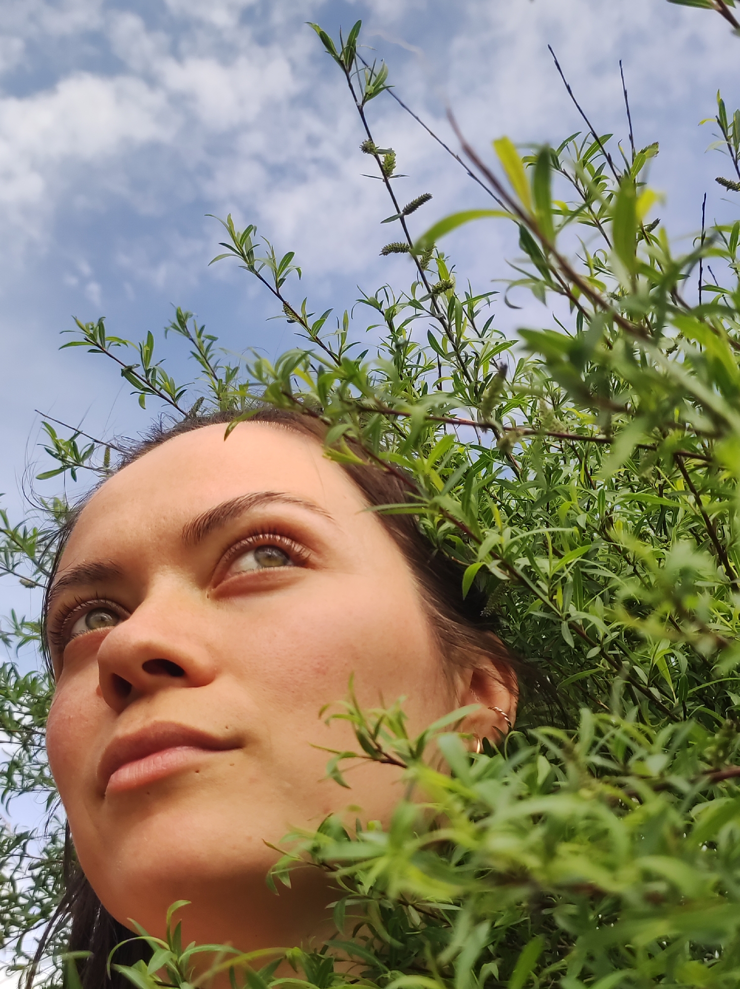 A low-angle, medium shot captures a young woman peering upwards from behind a dense thicket of green foliage against a partly cloudy, blue sky. The woman has fair skin, brown hair, and green eyes, which are focused upwards and to the left of the frame. Her facial expression is thoughtful and serene. She is wearing a gold hoop earring. The leaves are thick, obscuring her torso and shoulders. The background shows blue sky with some white clouds. The image was not necessarily taken in Фоки, Russia.