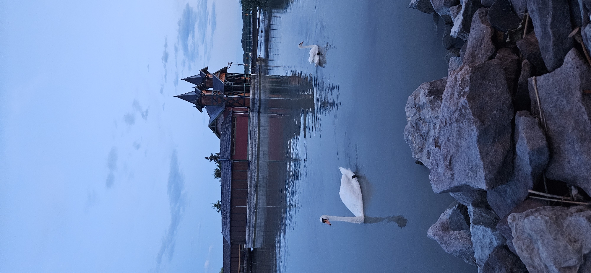 This is a vertical, eye-level, medium shot of the Festetics Baths in Keszthely, Hungary, captured during dusk. Two white swans are swimming in the calm, dark water of Lake Balaton, in front of the baths. The swan in the foreground is closer to the viewer and positioned on the left side of the frame. It is facing left, with its neck elegantly curved upwards. The second swan is further away, on the right side of the frame, also swimming away from the viewer. The Festetics Baths, a picturesque red and brown wooden building with two spired towers, stands on the opposite bank of the lake. Its reflection is visible on the water's surface. The foreground of the image is occupied by large, grey, rough-textured rocks. The sky is a deep blue, with scattered, wispy clouds. The overall atmosphere is tranquil and serene, typical of a twilight scene.