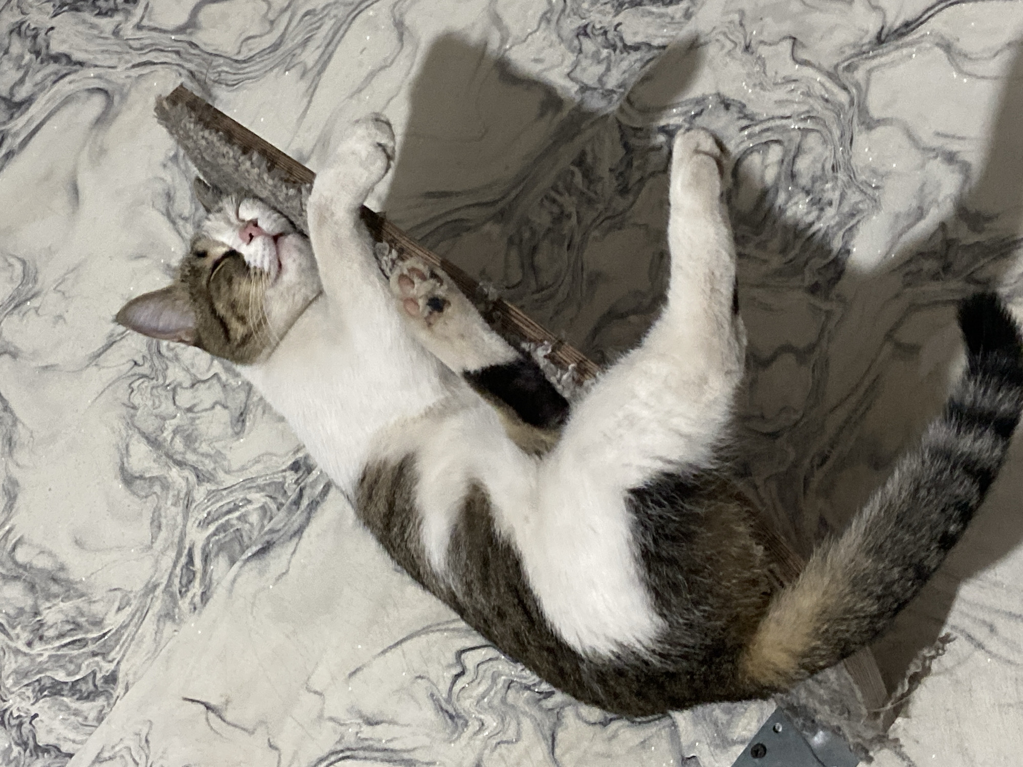 A domestic cat is lying on its back on a marbled surface, holding a wooden object with its paws. The cat is mostly white with grey and brown tabby markings on its back, tail, and head. It has its eyes closed and appears to be relaxed or playing. The marbled surface has a grey and white pattern with some sparkling elements. A shadow of what appears to be another cat or person is cast on the surface to the left of the cat. The scene is indoors.