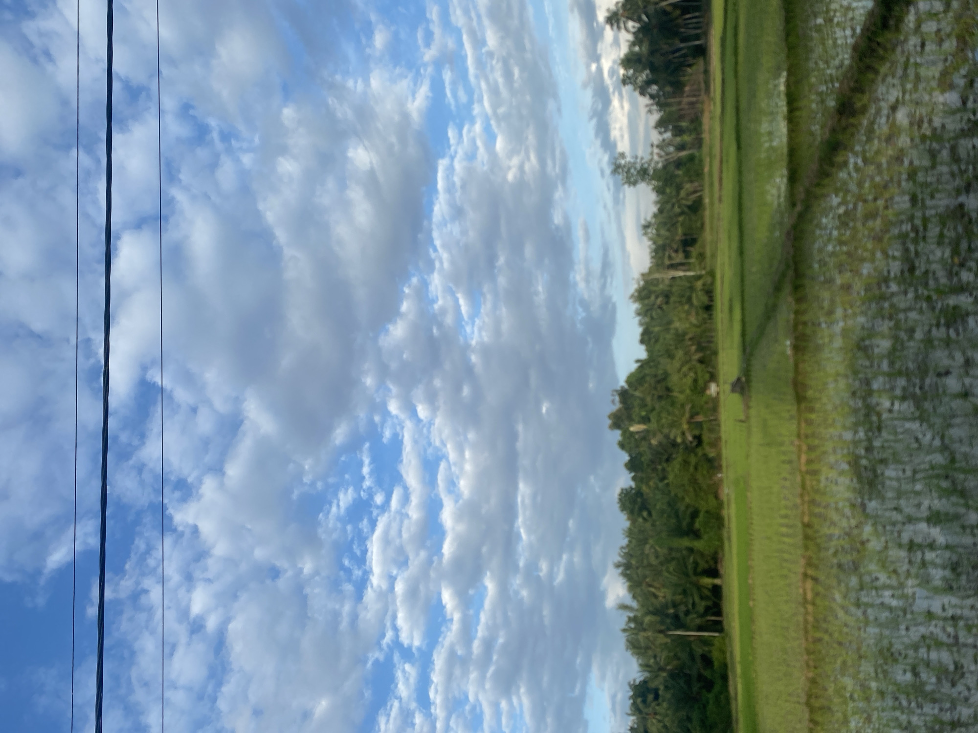 The image shows a landscape scene, likely in a rural area. The sky is filled with white and gray clouds against a blue backdrop. Power lines run vertically along the left side of the image. To the right, there is a dense area of trees and greenery, possibly a forest or jungle. Further right, there appears to be a flooded rice paddy field. Given the context of Ceubrek, Indonesia, it's probable that the scene depicts agricultural land with rice cultivation, surrounded by tropical vegetation.