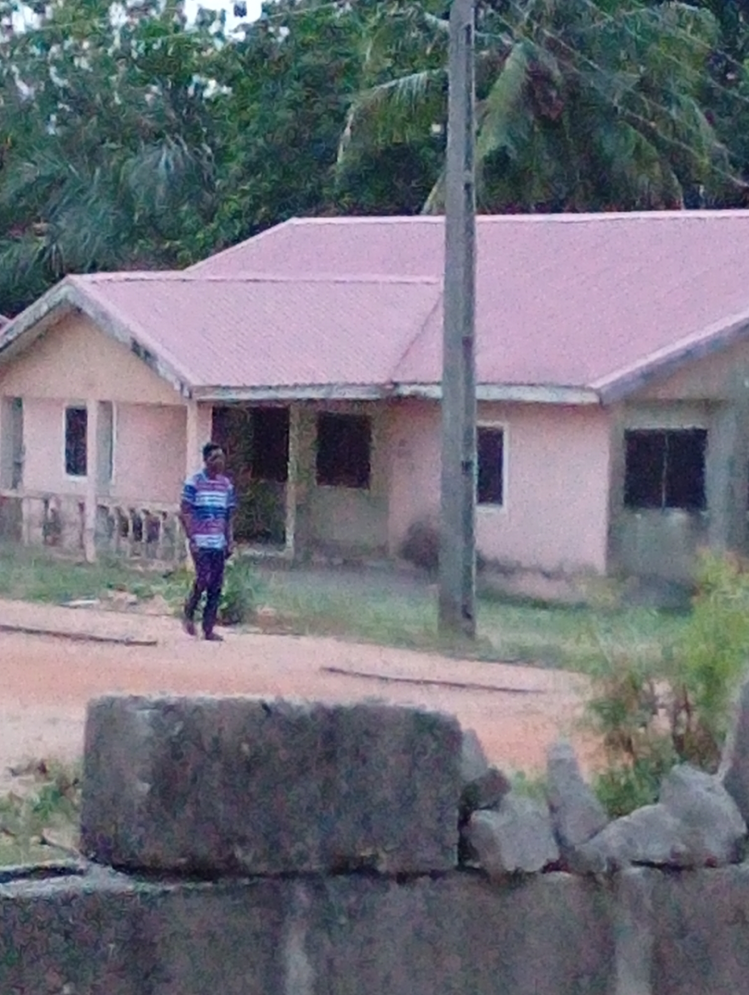 An outdoor, slightly grainy photograph captures a man walking in front of a house in what appears to be a semi-rural or developing area. The man, positioned slightly left of center, is walking from left to right on a dirt path. He wears a vertically striped shirt with shades of blue, white, and possibly purple or red, paired with dark trousers. His face is not clearly discernible due to the image quality and distance.
Behind the man is a single-story house with light-colored (possibly beige or pinkish) walls and a pink or reddish corrugated metal roof. The house has several windows; those on the right side appear dark, suggesting either open, unlit interiors or closed shutters. The front portion of the house features columns and some exposed concrete or unfinished lower walls. A tall, dark utility pole stands prominently in front of the house, slightly to the right of the center.
The background is dominated by lush green foliage and trees, indicating a natural or overgrown environment. The ground in front of the house is an unpaved dirt path. In the immediate foreground, large, rough concrete blocks or stones are visible, suggesting a low wall or barrier, partially obscuring the lower part of the scene. The lighting suggests it is daytime, possibly overcast or late afternoon, as there are no harsh shadows. No text is visible in the image.