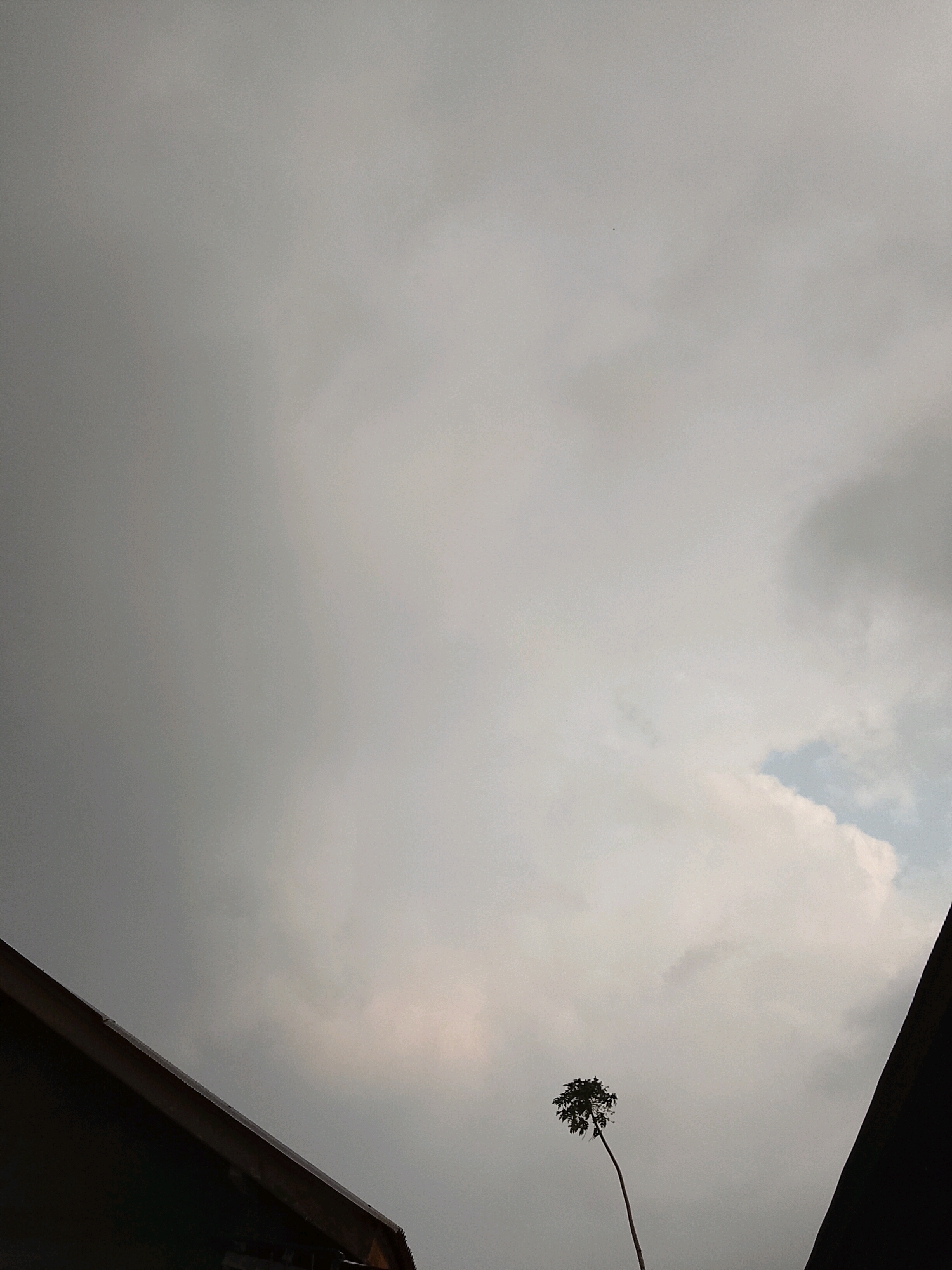 The image captures a cloudy sky above a portion of what appears to be a building's roofline in the foreground. A lone, slender tree with a dense canopy stands against the overcast sky in the lower middle portion of the frame. The sky itself is filled with varying shades of gray clouds, with a small patch of blue visible on the right side, indicating a break in the cloud cover. The overall impression is that of a muted and possibly humid atmosphere. The location is identified as Padang Dalom, Indonesia.