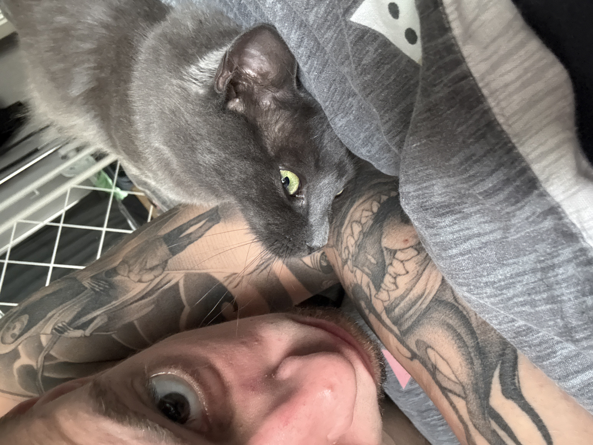The image is a close-up, selfie-style photograph taken indoors, likely in a residential setting. The primary subjects are a person and a grey cat. The person is positioned in the foreground, with their face partially visible on the left side of the frame. They appear to be looking towards the camera, with one eye open and focused. The person has visible tattoos on their arm, which is also in the frame.
The grey cat is lying next to the person, its head resting on the person's chest or shoulder, nestled in grey fabric. The cat's eye is open and appears to be a bright green or yellow. The cat's fur is short and dense. The background is out of focus but appears to be an indoor environment with some latticework or a grate visible.
There is no information in the image that allows for the identification of the city of Saratov, Russia. The image provides no environmental cues or context that would link it to a specific geographic location.