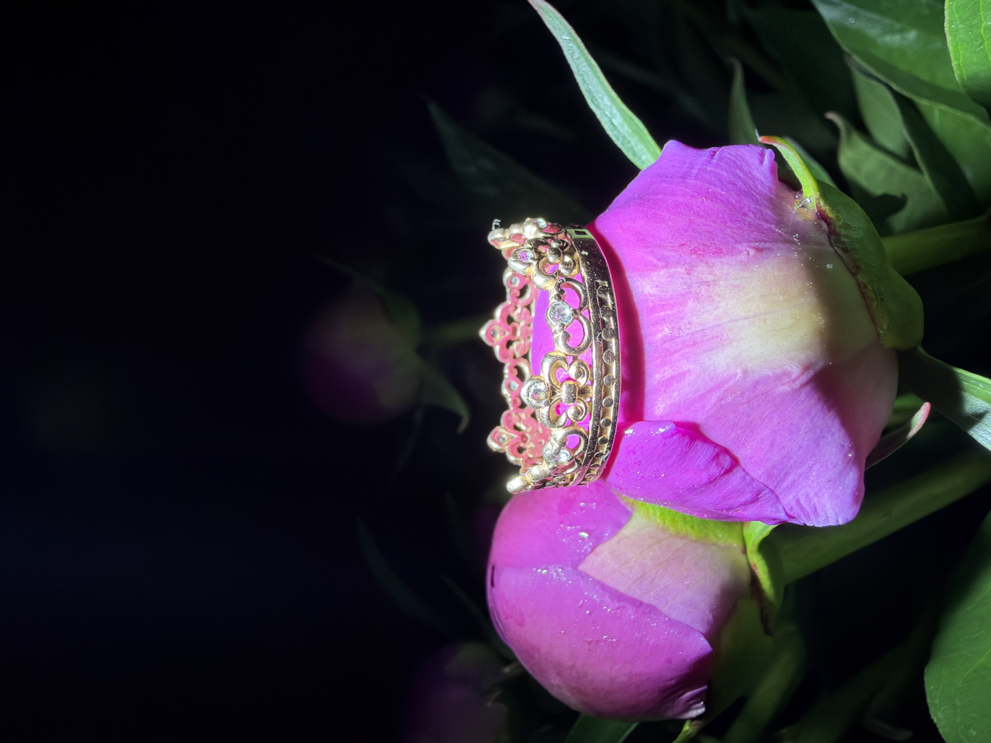 A close-up shot depicts a gold ring with an ornate design resting on a pink flower bud. The background is dark and out of focus, emphasizing the ring and flower. The flower appears to be a peony bud, covered in small droplets. Green leaves are visible around the flower, suggesting the presence of foliage. The lighting creates a strong contrast, highlighting the details of the ring and the texture of the flower petals. Location: Unknown, Unknown.