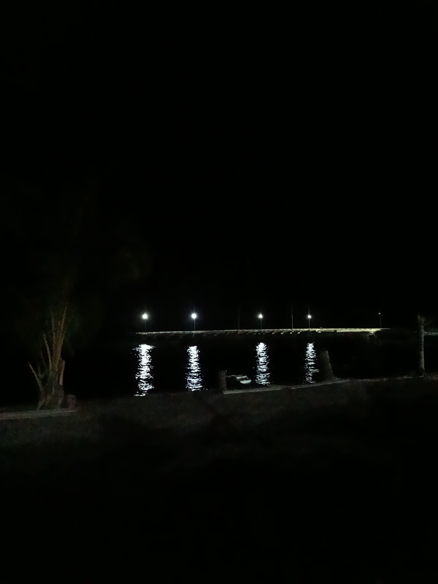 The image depicts a dark, nocturnal scene of a waterfront at night. In the foreground, the shadowy silhouette of a tree trunk is visible on the left. The middle ground features a body of water, likely a bay or canal, reflecting the light from several streetlights. These lights are positioned along a walkway or pier extending horizontally across the image. The water's surface is disturbed, creating shimmering reflections of the lights. In the far distance, the scene dissolves into blackness. There are no people visible in the image. The location of Mansalean, Indonesia, is not explicitly represented in the visual elements of the photograph.
