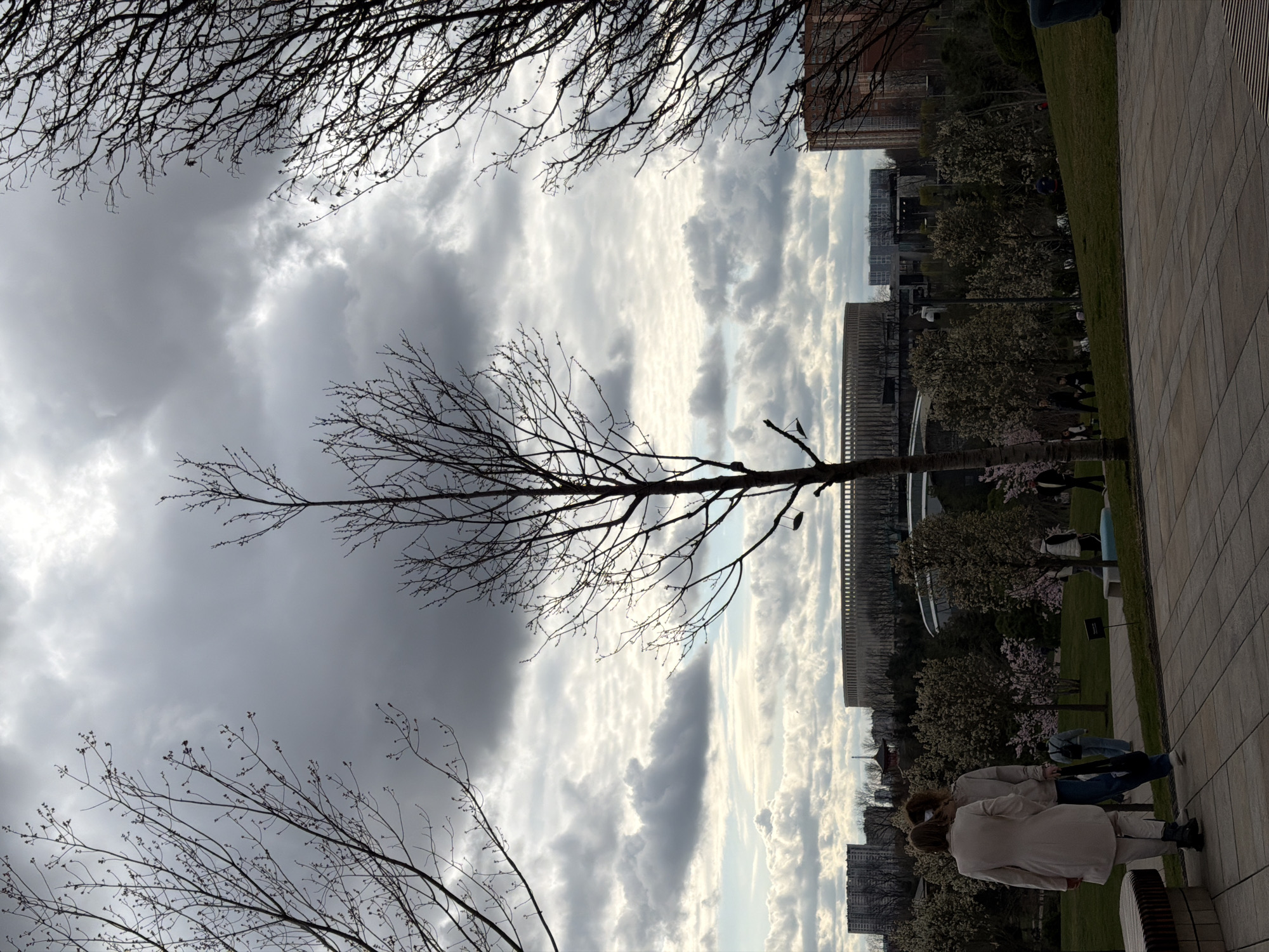 The image shows a park setting in Krasnodar, Russia. Dominating the view is a cloudy sky framed by bare tree branches. In the distance, buildings and a bridge-like structure are visible. Closer to the foreground, a paved walkway runs alongside a grassy area dotted with blossoming trees and people. Two individuals wearing light-colored jackets and pants are standing on the walkway.