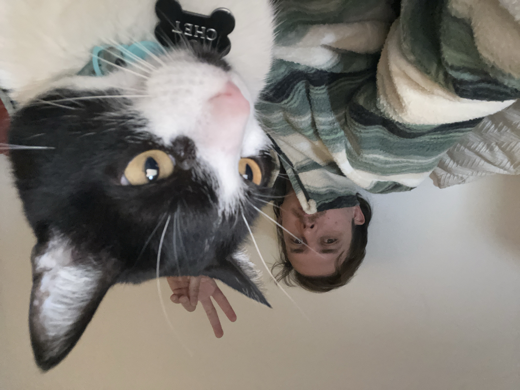 A person and a black and white cat are in a selfie-style image. The image is rotated so that the cat's head is near the top of the frame. The cat has a tag that reads "CHET". The person is wearing a striped green and white garment. The person is making a peace sign with their fingers near the cat's ear. The background is a plain, light-colored wall or surface. There is no visible information to suggest the location is in Ushuaia, Argentina.