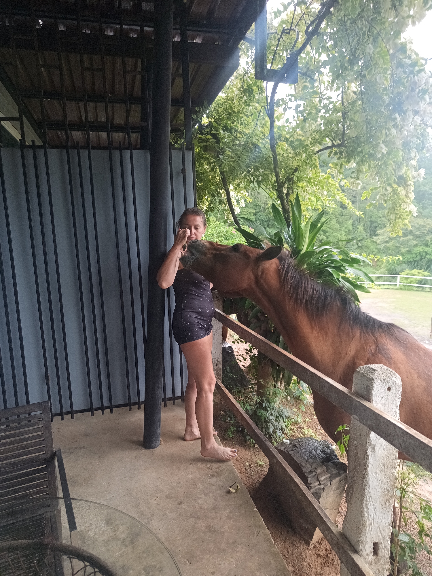 A woman stands on a concrete porch, interacting with a brown horse that is leaning over a wooden fence. The woman is wearing a dark, patterned one-piece swimsuit and is barefoot. She is holding something to her mouth or face with her left hand, while the horse appears to be sniffing or nuzzling her. The porch is part of a structure with gray vertical metal siding and a corrugated metal roof. To the left, a partially visible patio table and chairs sit on the porch. Beyond the fence, lush green foliage and trees extend into the background, suggesting a tropical environment. A white fence can be seen in the distance. The location is Ban Tak Daet, Thailand.