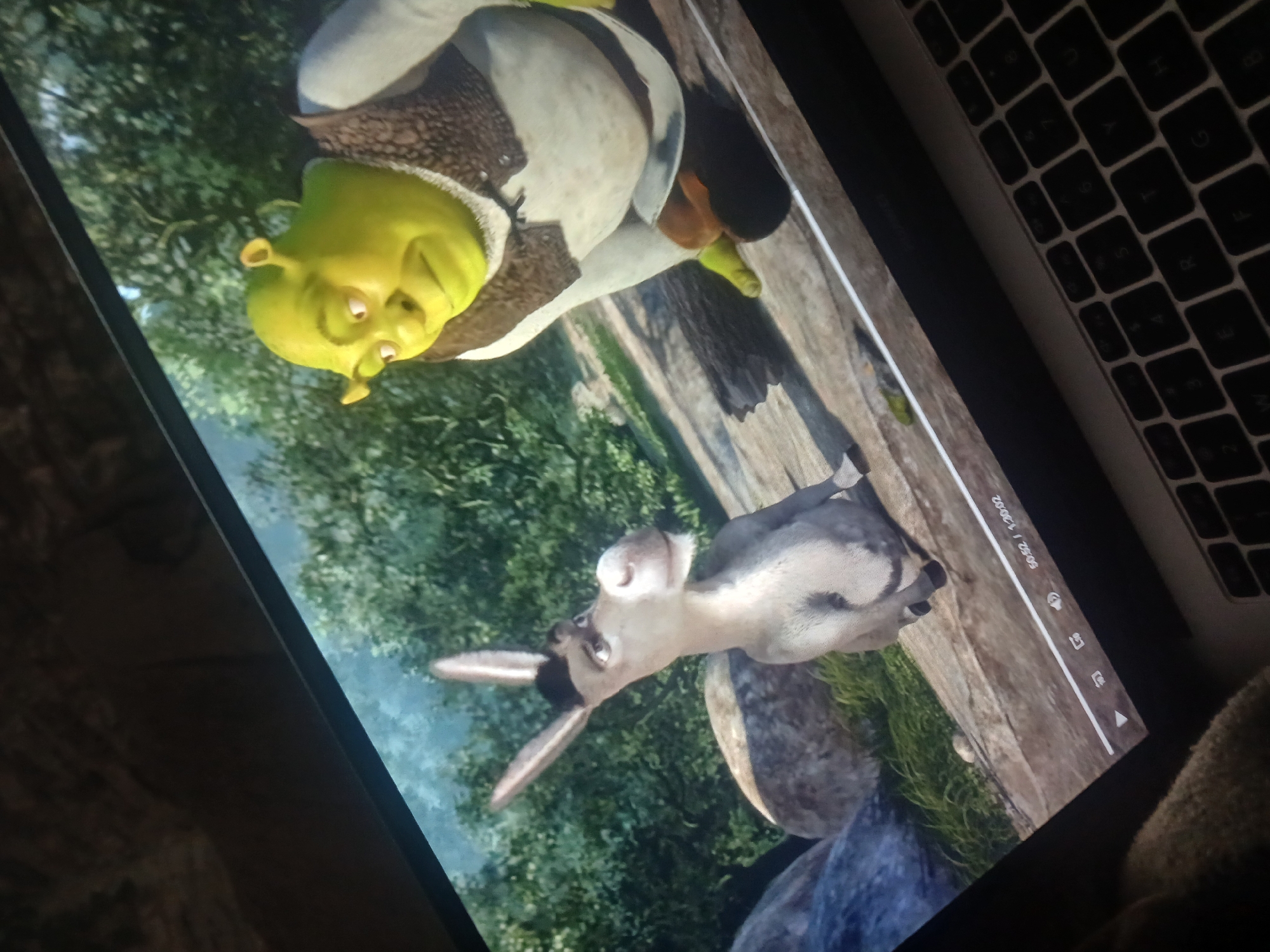 The image shows a laptop screen displaying a scene from the animated movie "Shrek." Shrek, the green ogre, and Donkey, the donkey, are visible in the image. The background includes a green forested area. To the right of the laptop screen, a portion of the laptop's keyboard is visible. The image also shows the video playback interface displaying the time 50:52/1:30:02. There is no information about the location being Ignatievo, Bulgaria in this image.