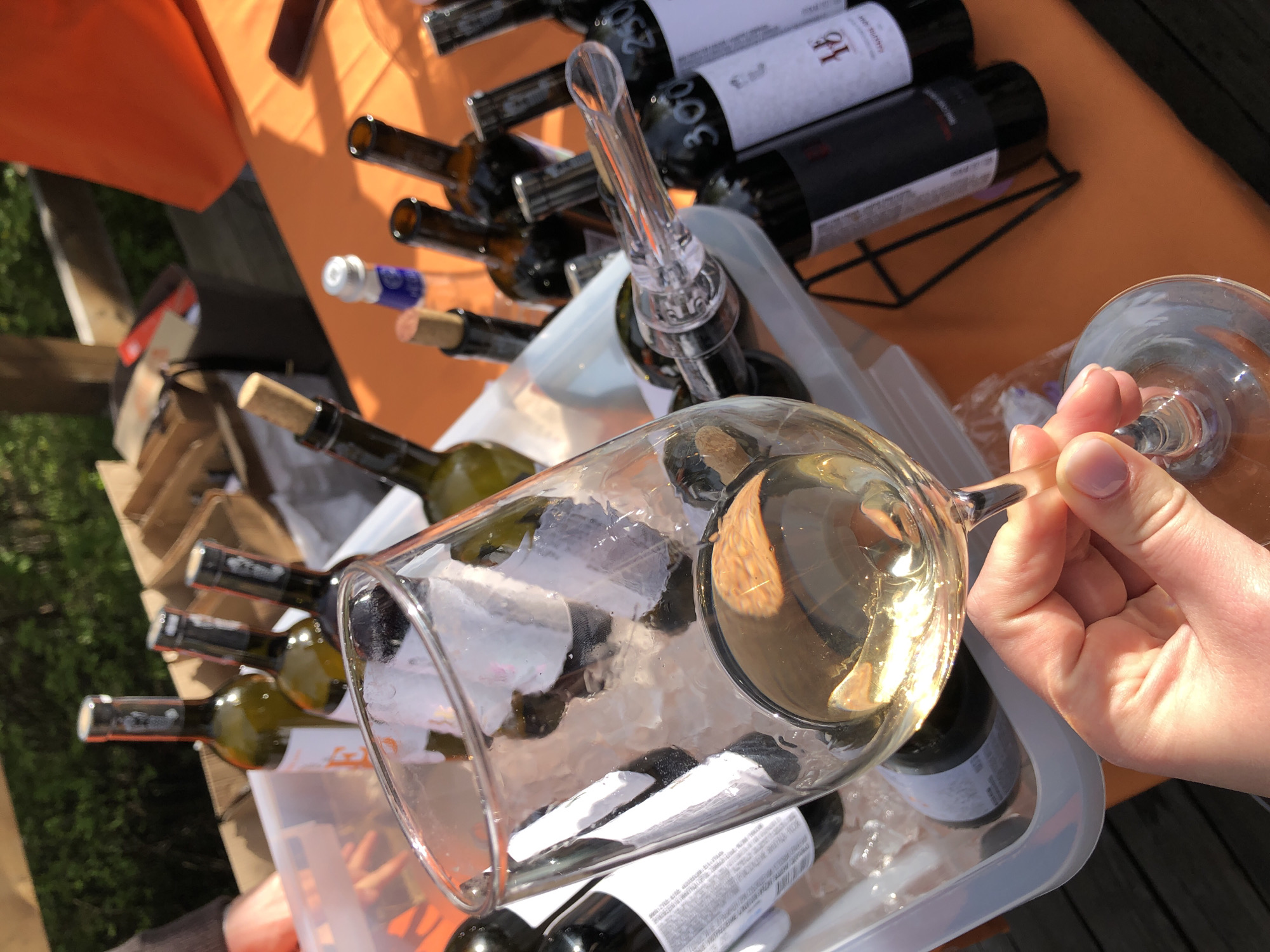 The scene depicts an outdoor wine tasting event. A person is holding a glass of white wine, inspecting the liquid's clarity and color. The glass contains ice. The wine is being poured from a bottle using an aerator. The wine bottles are in a clear plastic tray filled with ice. There are 12 bottles of wine. The bottles are a mixture of dark brown/green glass, mostly full. The bottles appear to be both opened and unopened. Other wine bottles are visible on a table to the left and right of the tray. The table appears to be orange. The location appears to be outdoors with grass visible. It cannot be determined if the image was taken in Krasnoyarsk, Russia.