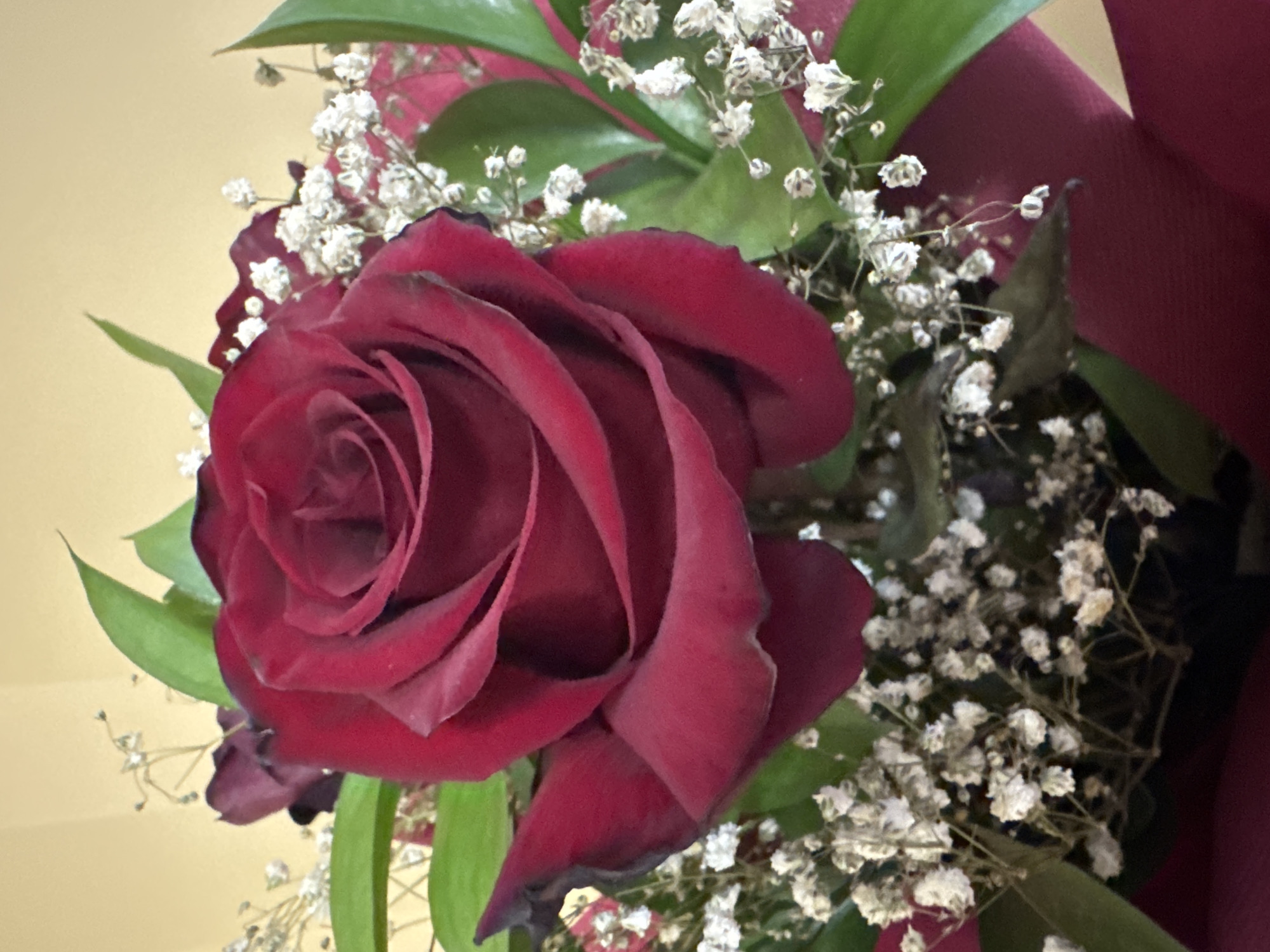 A close-up shot captures a dark red rose, prominently displayed amidst baby's breath flowers and green foliage. The rose's petals are tightly curled in the center, gradually unfurling towards the edges. Hints of other roses and maroon fabric wrap are visible in the background. The background is a pale yellow wall. The location cannot be determined from the image.
