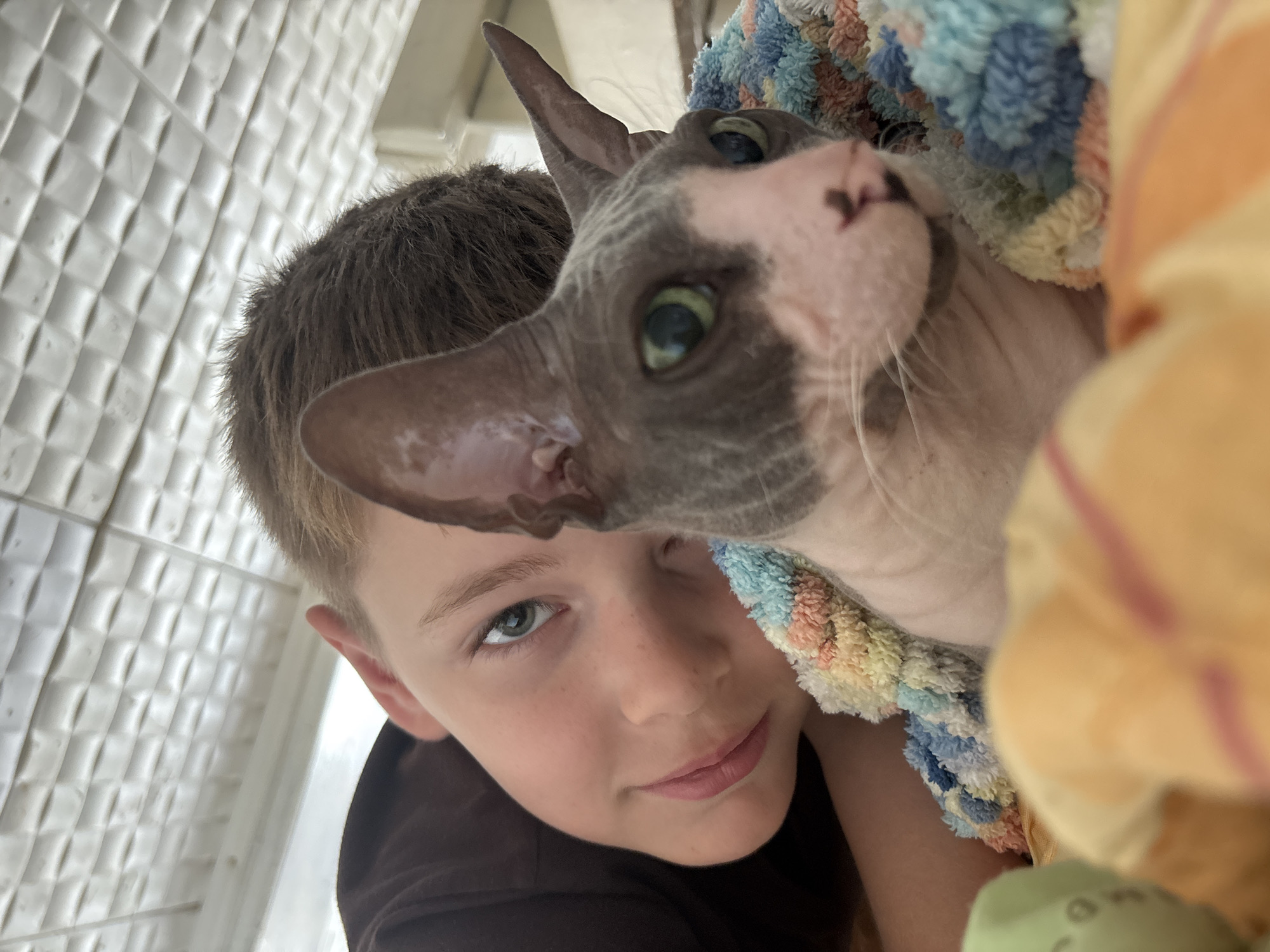 A boy and a Sphynx cat are resting together, wrapped in a colorful blanket. The boy is lying on his side, with his head close to the cat. He has brown hair and green eyes, and he is smiling. The cat is grey and white, with large ears and green eyes. They are both looking towards the camera. The background is blurred, but it appears to be an indoor setting with a white ceiling. The image is a close-up shot, and the focus is on the boy and the cat. There is no information available about the location in the city of Niva, Russia.