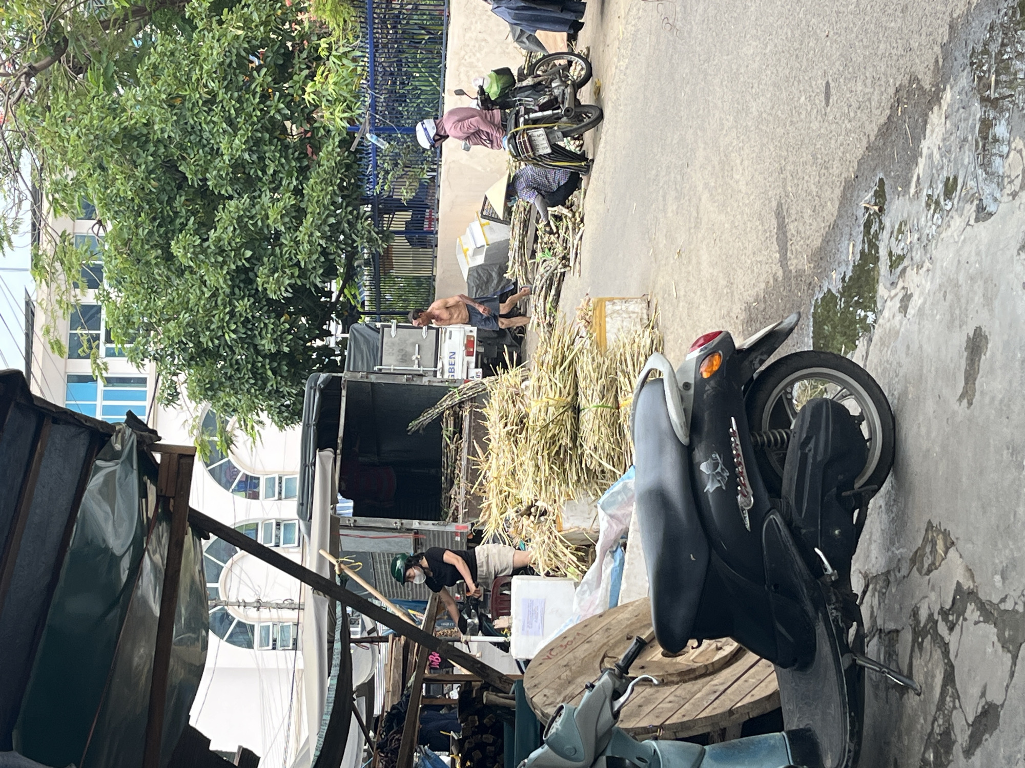 In Nha Trang Ward, Vietnam, a street scene shows a vendor and possibly others unloading bundles of sugar cane from a small flatbed truck. A shirtless man stands near the truck, and another person wearing a mask and helmet works among the cane. Several motorbikes are parked on the street. Water is present on the concrete. The activity seems to be related to roadside commerce. A variety of structures, including trees and building elements, are visible in the background.