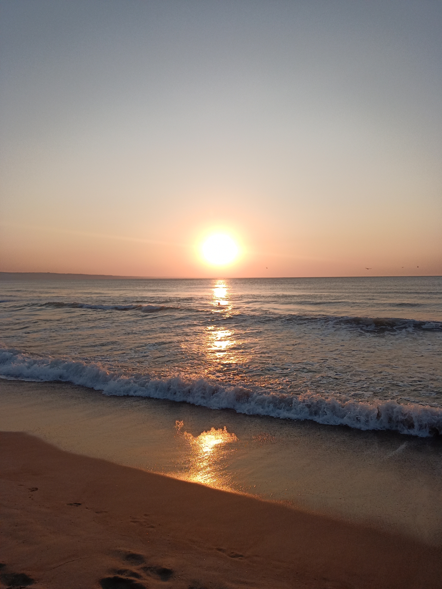The image depicts a serene beach scene at sunrise in Kranevo, Bulgaria. The sun, a brilliant orb, is positioned slightly left of the center, casting a warm, golden glow across the horizon and the calm sea. Gentle waves are lapping at the shore, their crests tinged with the sunrise hues. The wet sand in the foreground reflects the sun's light, creating a shimmering effect. Footprints are visible in the sand, indicating recent human presence. The sky transitions from a pale blue at the top to a soft orange and yellow near the horizon. A faint line of land, likely the coast, is visible in the distance. A few small birds can be seen flying in the sky. The overall atmosphere is peaceful and tranquil.