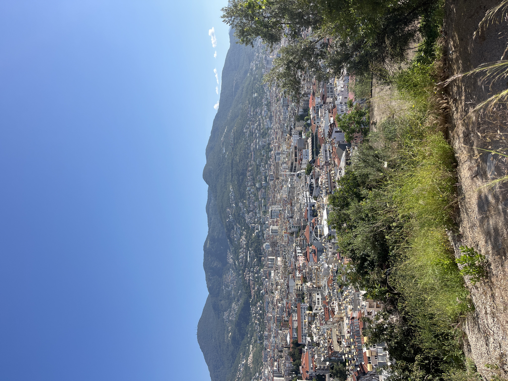 A scenic view from a high vantage point overlooking Alanya, Turkey is presented in this image. A mountain covered in dense vegetation forms the backdrop. The city is densely packed with buildings. A rocky pathway with overgrown grass and shrubs is on the right side of the frame. The sky above is clear and blue.