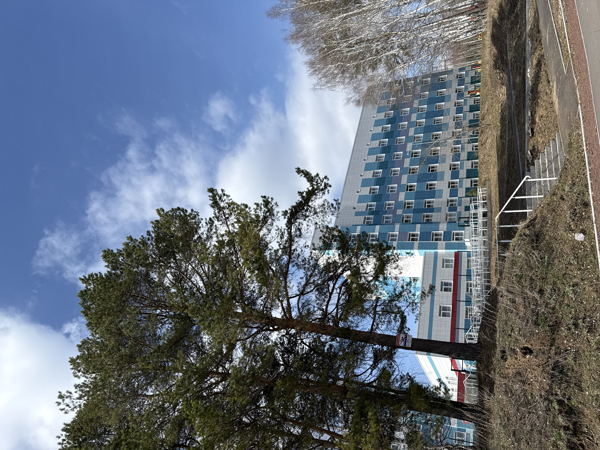 The image shows a view in Chaikovsky, Russia, likely taken in the spring. A tall, multi-story building with a blue and white checkered pattern on its exterior is prominent. A large pine tree stands in the foreground, obscuring part of the building. To the right of the building is a grassy area with bare shrubs and a white metal railing. Bare trees are visible above and behind the building. The sky is blue with scattered white clouds. The image is rotated roughly 90 degrees counter-clockwise.