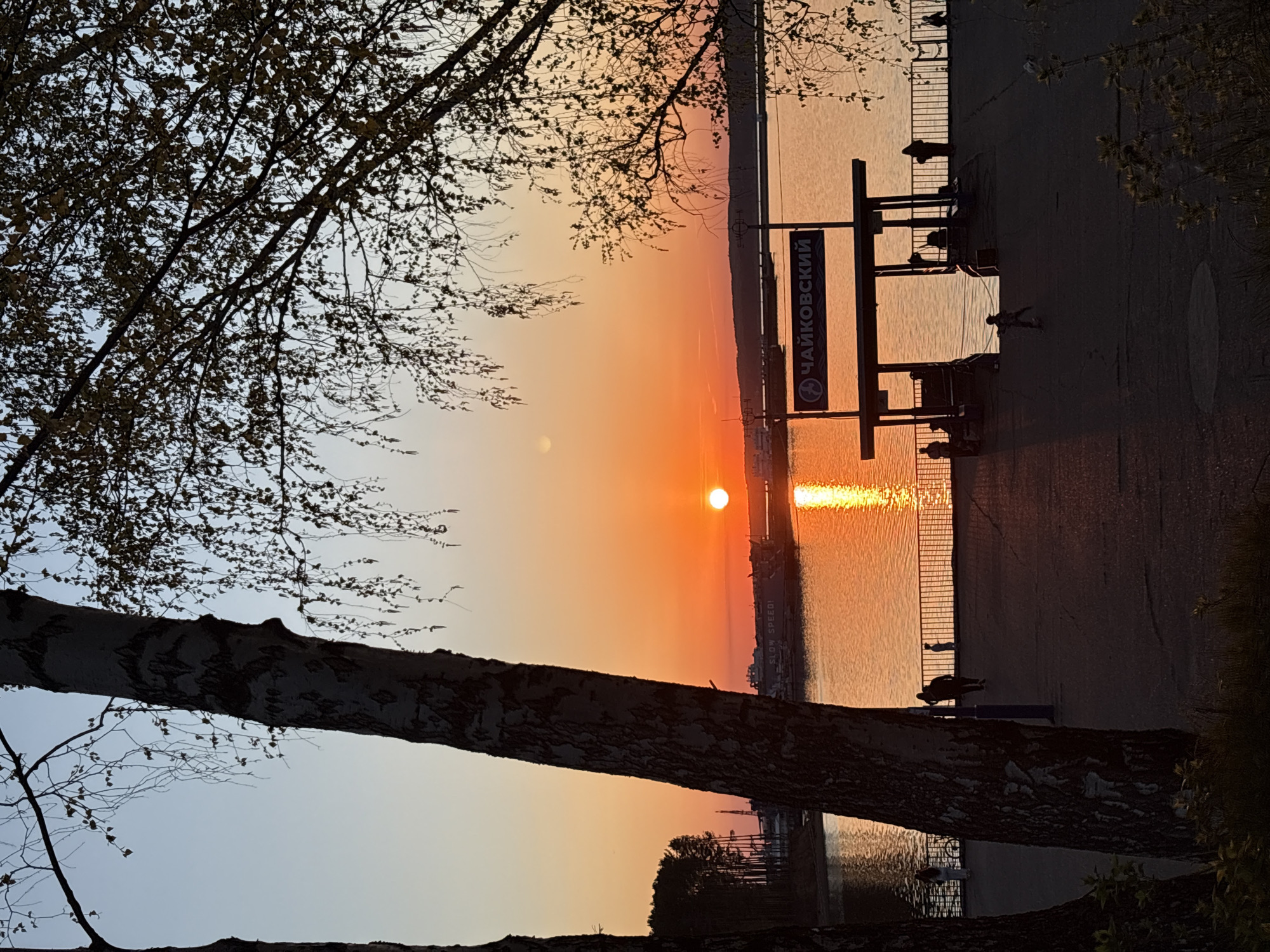 The image depicts a sunset over the Kama River in the city of Chaikovsky, Russia. A tree trunk and branches frame the left side of the image. The sun is setting on the horizon. People are present on the embankment, with benches visible. A sign with the name of the city, "Chaikovsky," is visible. A barge with the words "SLOW SPEED!" can be seen on the river.