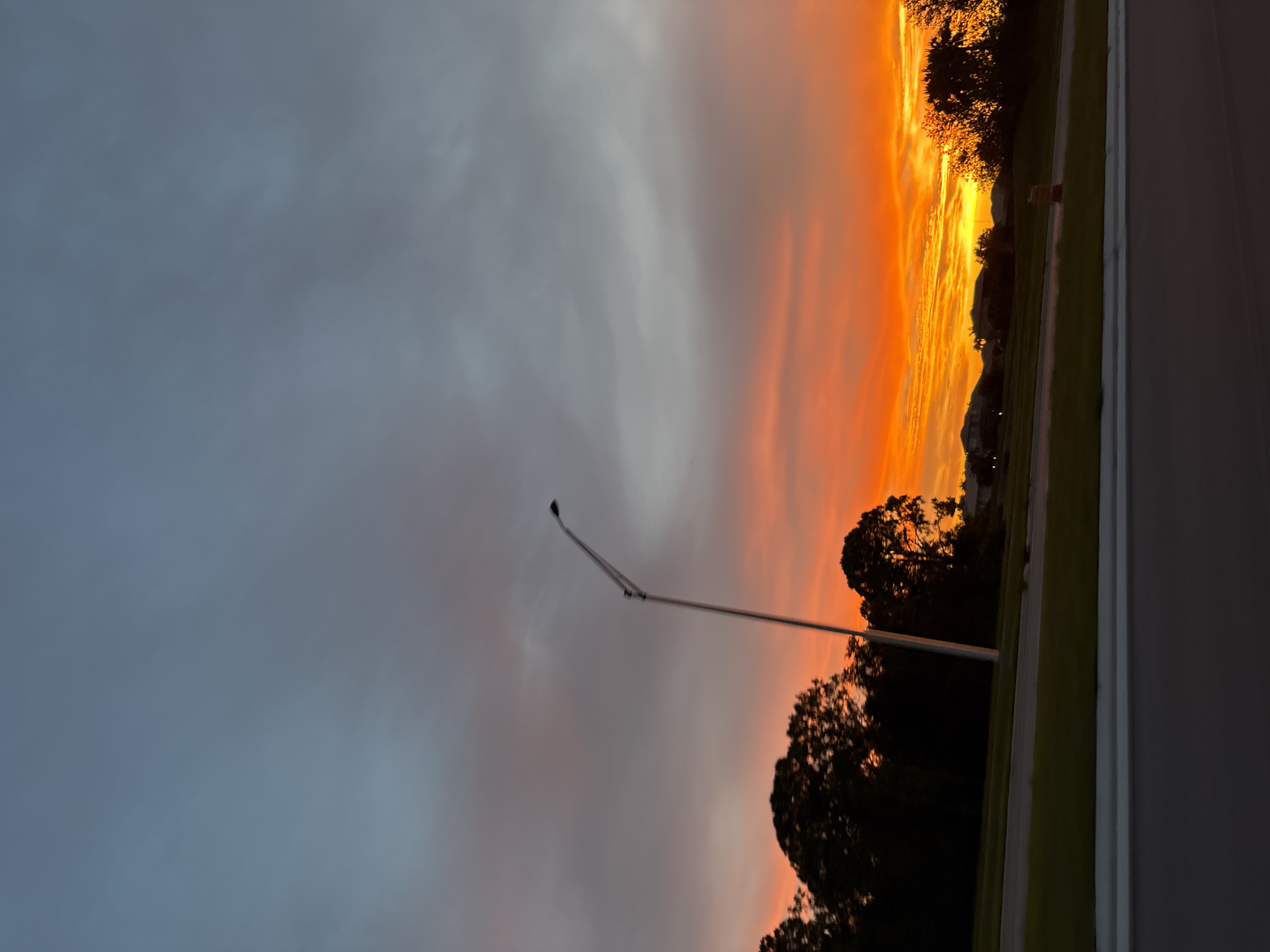 This image captures a vibrant sunset over North Port, Florida, United States. The sky is ablaze with hues of orange and yellow, transitioning to a soft pink and then a dusky blue towards the top. Silhouetted against the colorful sky are the dark shapes of trees and a street lamp. In the foreground, a paved road and a grassy median suggest a suburban or residential area. The overall scene is peaceful and evocative of the end of a day in this coastal Florida city.
