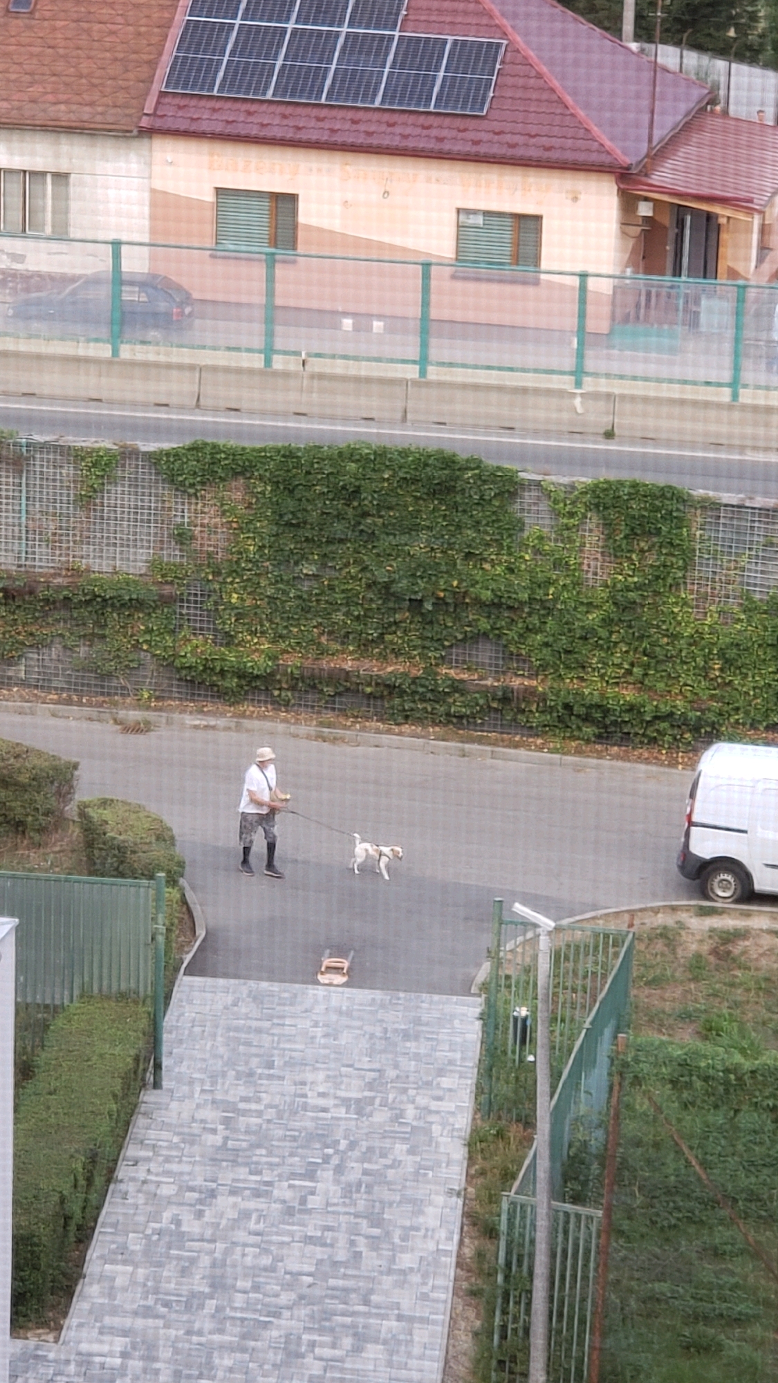 A person wearing a hat, white t-shirt, and patterned pants walks a small white and tan dog on a leash on a paved road. The dog is facing away from the viewer. Behind the person, a white van is parked on the right side of the road. In the background, a wall covered in ivy runs along the road, and above that, a building with a red roof and solar panels is visible. The scene is likely located in a residential area, possibly near a road or highway, in the city of Prešov, Slovakia.