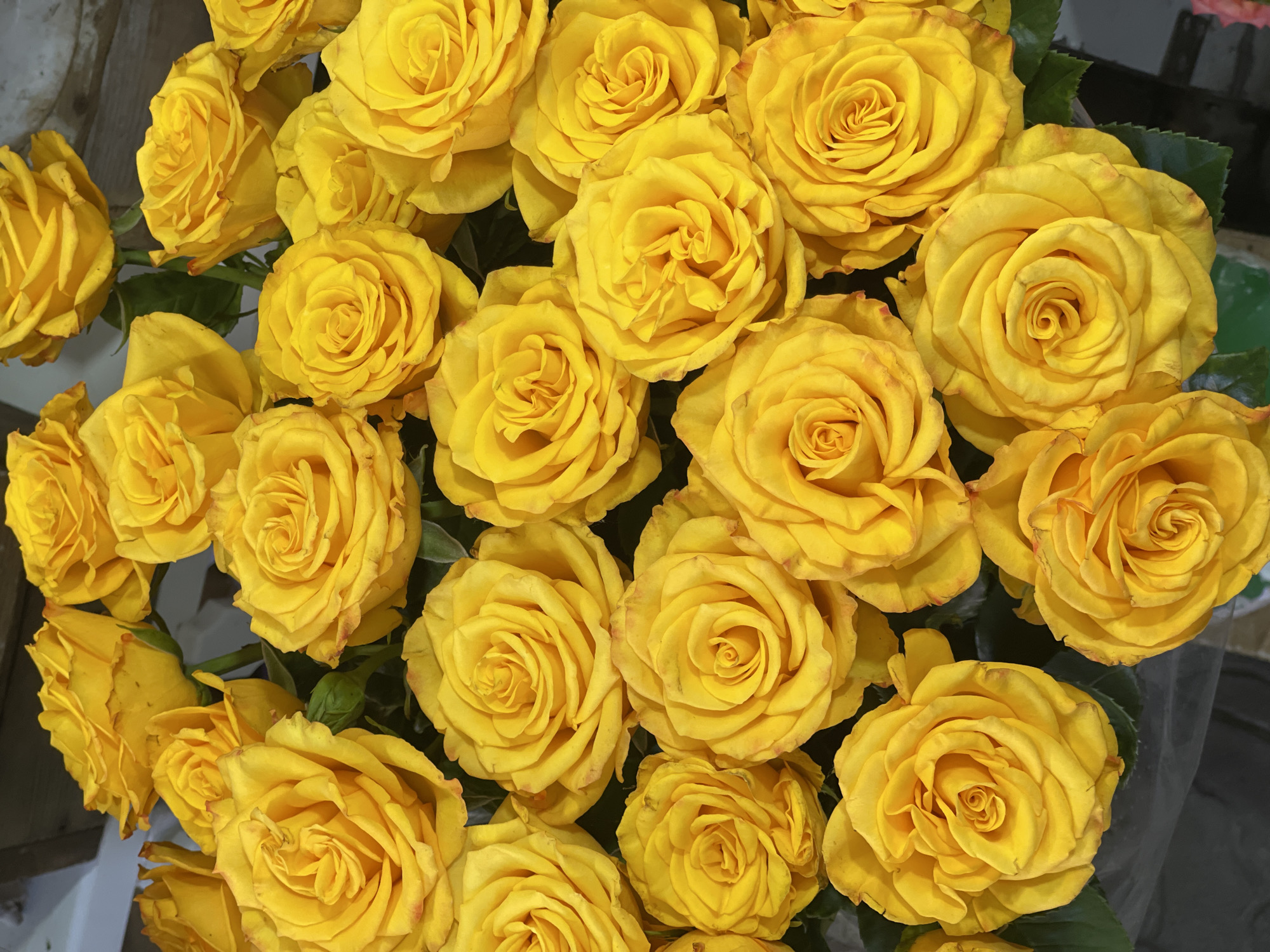 This is a close-up, overhead shot of a bouquet of yellow roses. The roses are fully bloomed and tightly packed together, with some slightly less open buds visible. The lighting is bright, highlighting the vibrant yellow petals. The background is dark and out of focus, suggesting the bouquet is the primary subject. There are no people or specific landmarks visible that would indicate a location in Kamianske, Ukraine.