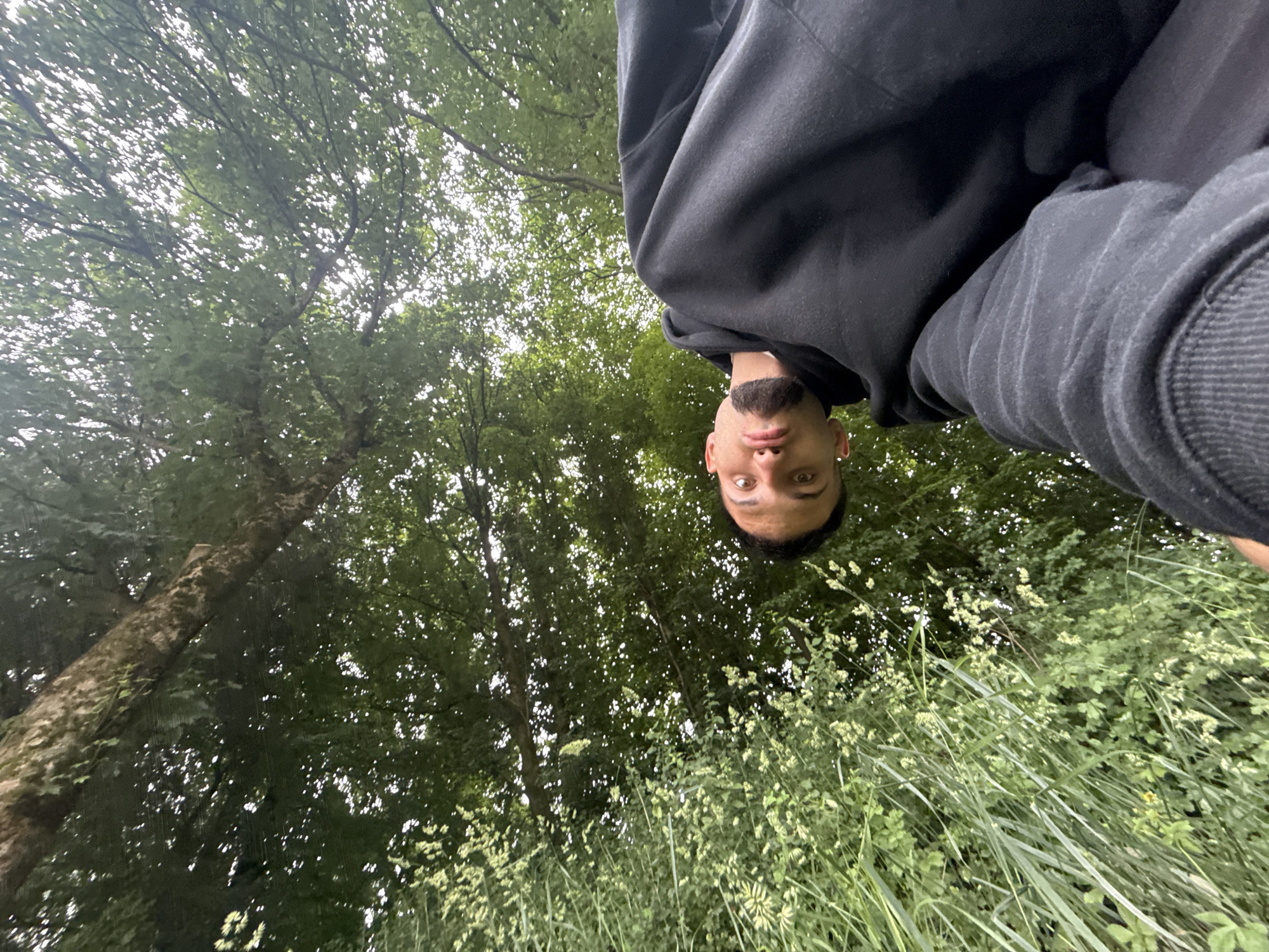 An adult male with dark hair, a goatee, and light brown eyes is seen from a low-angle, upward perspective in an outdoor natural setting. He is wearing a black hooded sweatshirt. The background consists of dense green foliage, including tall grasses and trees, with some dappled sunlight filtering through the leaves. The image appears to be a selfie taken outdoors, possibly in a park or wooded area. There is no discernible urban environment or reference to Garmisch-Partenkirchen, Germany.