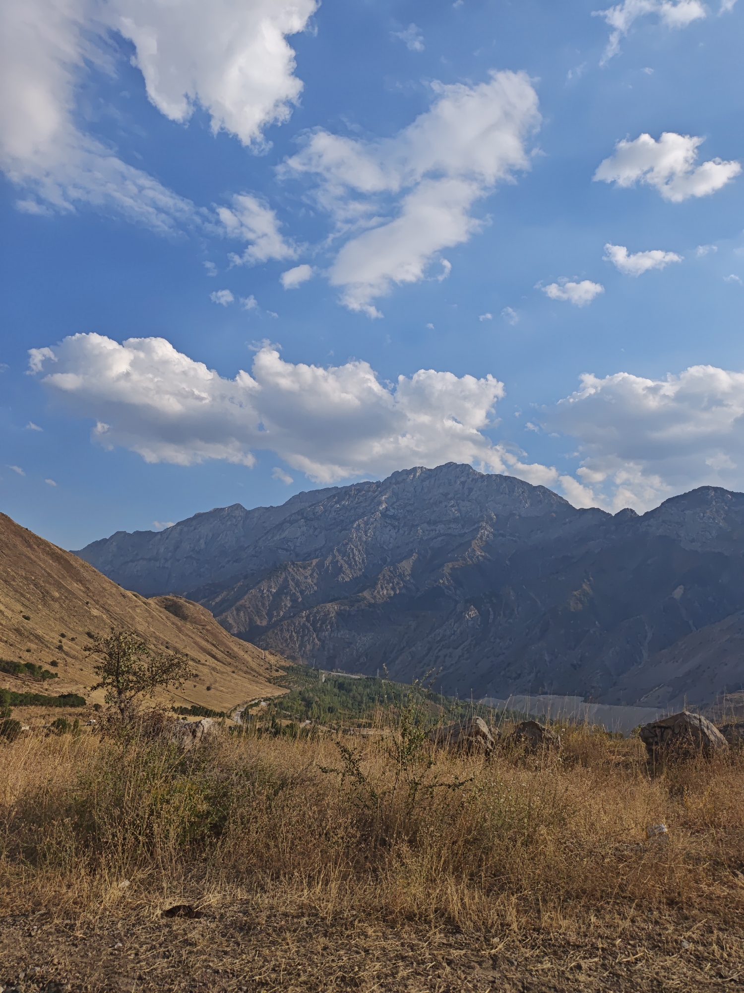 The image captures a panoramic view of a mountainous landscape, likely in or around Burchmulla, Uzbekistan. The foreground is dominated by dry, golden-brown grass and sparse shrubbery, with several large, weathered rocks scattered throughout. A single tree with sparse foliage stands on the left side of the frame, casting a faint shadow.
In the midground, the terrain slopes upwards, revealing a valley with a winding road and patches of green vegetation, indicating a settlement or cultivated area. Further in the background, a majestic mountain range stretches across the horizon. The mountains are rugged and appear to be composed of rock and scree, with sharp peaks and deep valleys. Their colors range from muted blues and grays in the distance to lighter tones where sunlight catches the surfaces.
The sky above is a vibrant blue, dotted with scattered white cumulus clouds. The lighting suggests it is a clear, sunny day, with the sun casting distinct shadows. There are no visible people or animals in the frame. The overall impression is one of a vast, natural environment, possibly a rural or remote area within Uzbekistan, characterized by its dry climate and mountainous terrain.