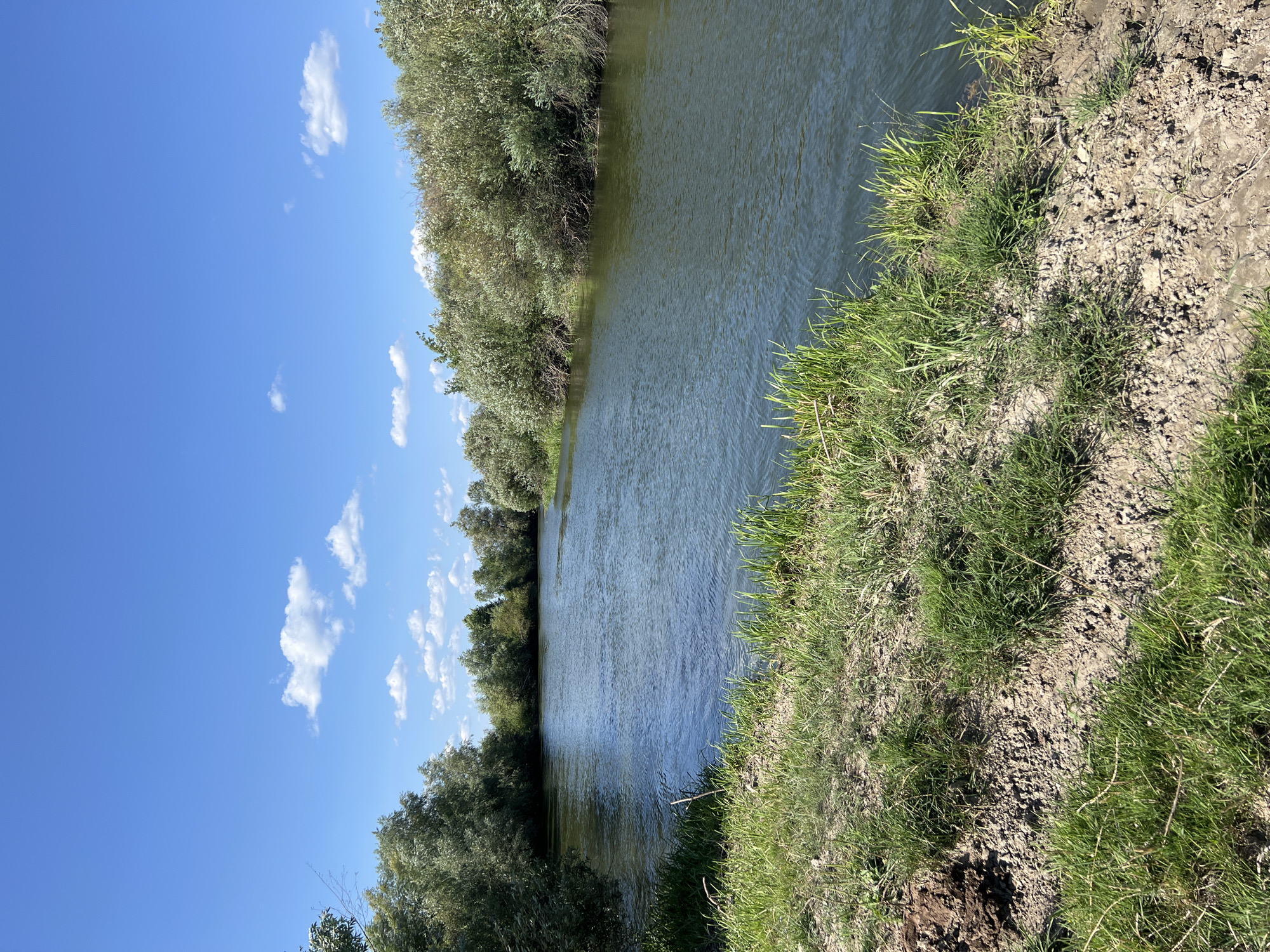 The image shows a wide, calm river flowing through a verdant landscape under a bright blue sky dotted with fluffy white clouds. Lush green trees and dense foliage line both banks of the river, creating a natural corridor. The foreground features a grassy embankment with patches of bare earth, suggesting a slightly unkempt natural setting. The water appears dark and reflects the sky and surrounding greenery. The scene evokes a sense of tranquility and natural beauty. The specific location is the river in Sobishchytsi, Ukraine.