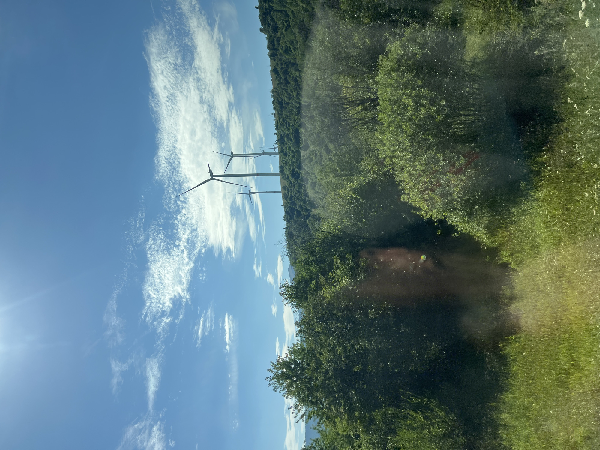 The image shows a bright, sunny day with a clear blue sky scattered with wispy white clouds. In the distance, on a rolling green hillside, stand several large wind turbines. The foreground is filled with lush green trees and tall grass, with some smaller wildflowers visible in the grass. The scene is likely a rural landscape, and the wind turbines suggest a location with open terrain suitable for renewable energy generation. The specific location within Latorka, Ukraine, is not discernible from the image.