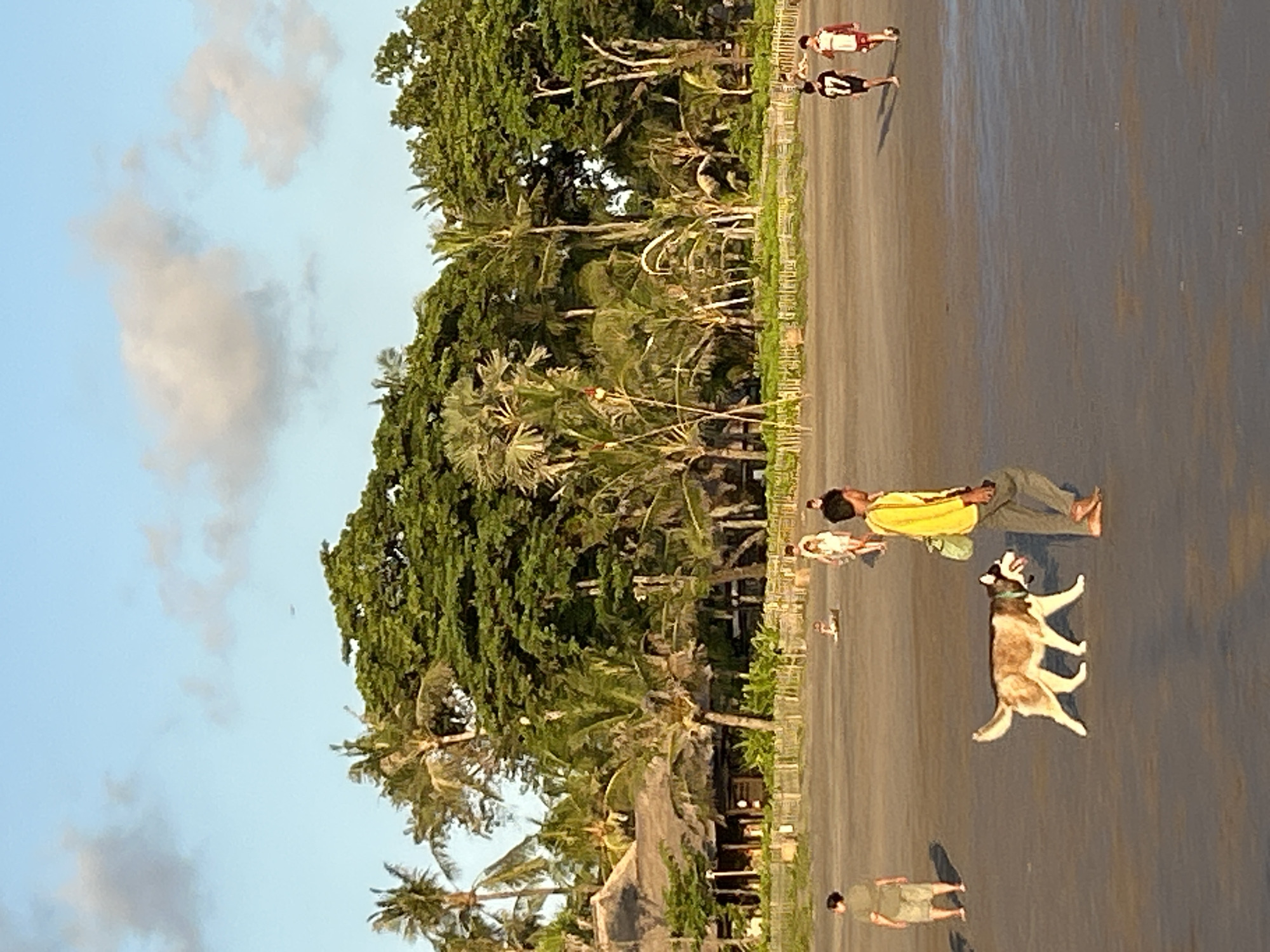 This image depicts a beach scene in North Kuta, Indonesia. In the foreground, a person in a yellow shirt and gray pants walks with a husky dog on the wet sand. The dog is tan and white with a green collar. Further back, a person in a green shirt and shorts stands on the sand, facing away from the camera. Several other individuals are visible in the mid-ground, including a group of people walking and a person sitting. In the background, a dense line of tropical trees and palm trees forms a backdrop to the beach. Several thatched-roof structures, likely part of a resort or restaurant, are nestled amongst the trees. The sky is partly cloudy, with hues of blue and soft white clouds. The lighting suggests it is late afternoon or early evening.