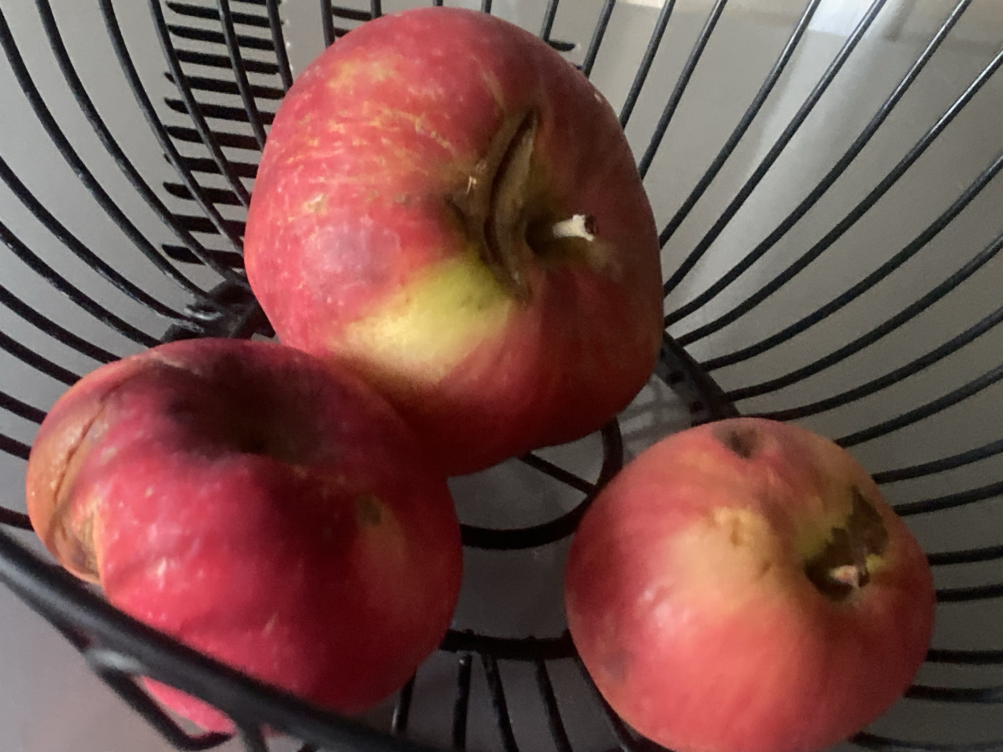Three red apples with yellow and brown markings are arranged in a black wire fruit basket. The basket is placed on a light-colored surface, possibly a table. The apples appear slightly bruised or imperfect. The background is a neutral gray, suggesting an indoor setting. The image does not provide any specific visual cues to identify a location within the city of Rybnitsa, Moldova.