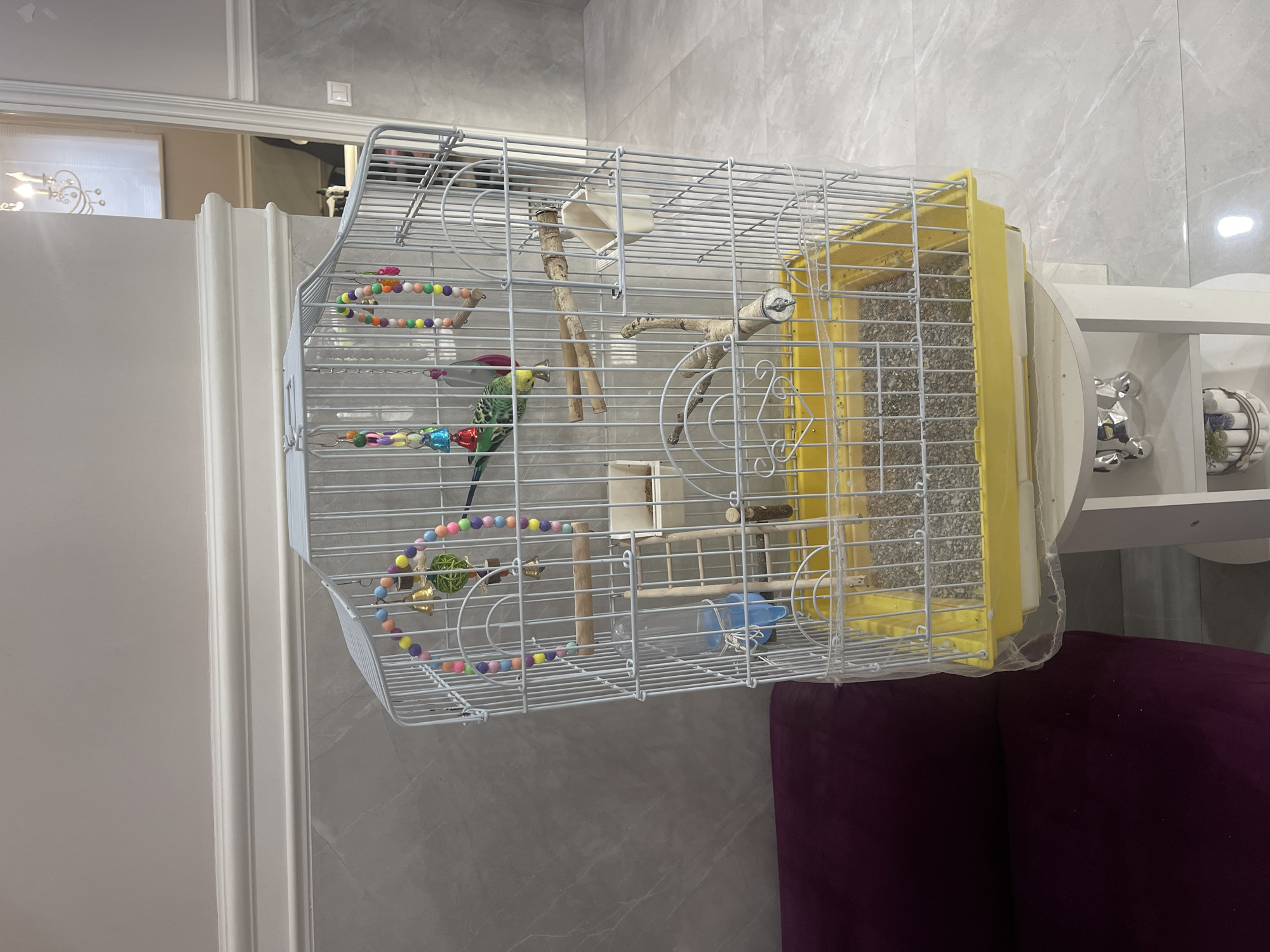 The image shows a wire birdcage with a green parakeet inside. The cage contains multiple perches, toys including a beaded string, and a yellow feeder full of birdseed. The cage is placed on a white table near a purple couch. The background features a gray marble-patterned wall and a glimpse of a white door frame. There is no verifiable evidence to confirm the location as Khimki, Russia.