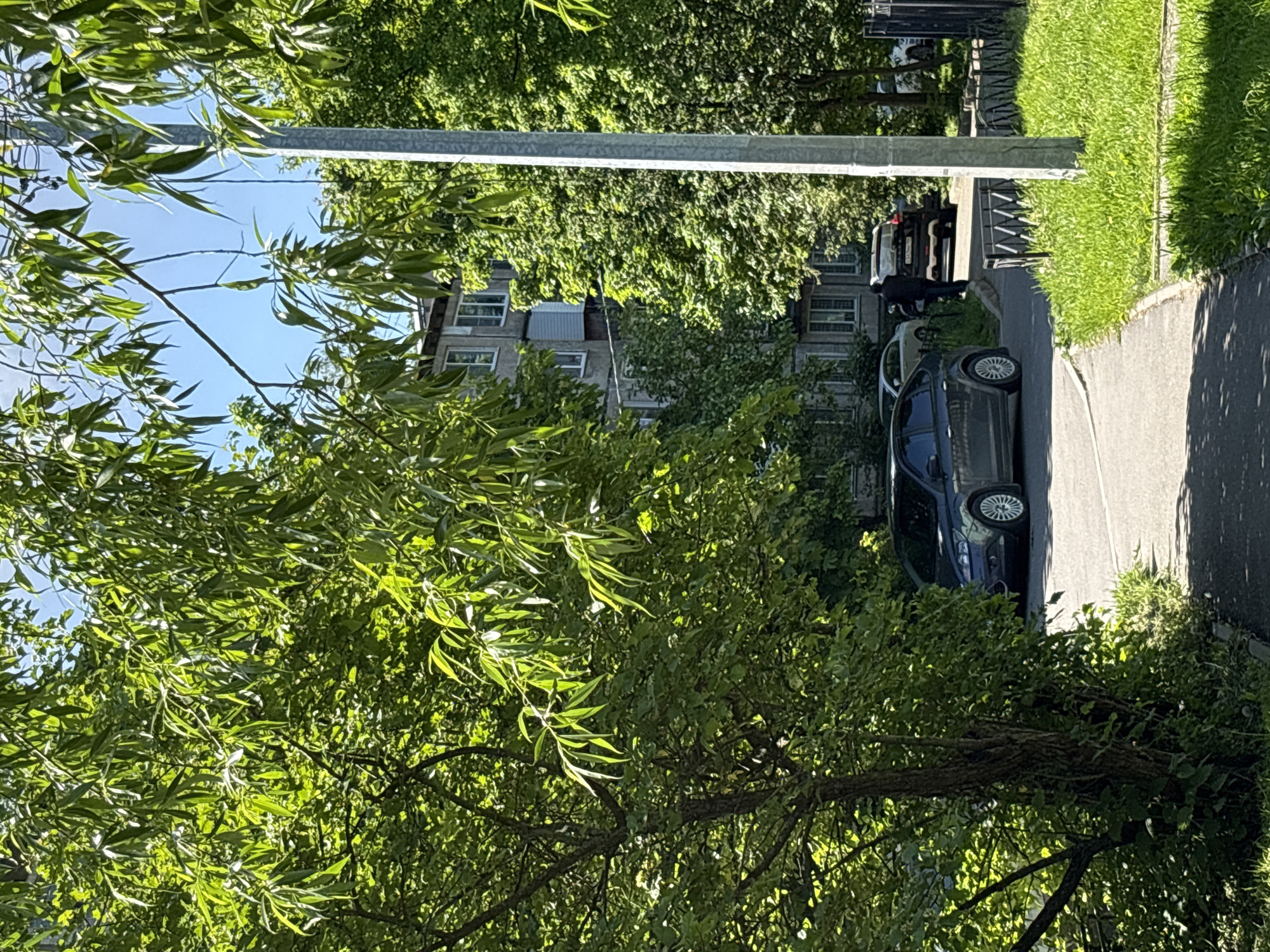 This media file captures an outdoor urban or suburban street scene, identified as being in Saint Petersburg, Russia, under bright daylight conditions. The image is rich with natural greenery from numerous trees, whose vibrant green leaves fill the foreground and much of the background, creating a dense canopy.
In the mid-ground, a dark-colored sedan, possibly blue or black, is parked on the side of a paved road. Next to this car, a single person is visible, dressed in dark clothing. They appear to be standing by the driver's side of the vehicle, suggesting they are either getting into or out of the car, or perhaps interacting with it. Another lighter-colored car is partially visible further down the street behind the dark sedan.
To the right of the paved road, there is a clear strip of green grass bordering a sidewalk. A light pole or utility pole stands prominently near the road. In the background, behind the trees and cars, a multi-story building, likely an apartment block, is partially visible with several rectangular windows. A dark fence can also be seen in the distance behind the cars.
The time of day appears to be late morning or early afternoon, characterized by a clear blue sky and strong sunlight casting distinct shadows on the ground and objects, indicating sunny weather. No discernible text is visible on any of the objects or buildings. The overall scene suggests a typical residential area during a pleasant, sunny day.