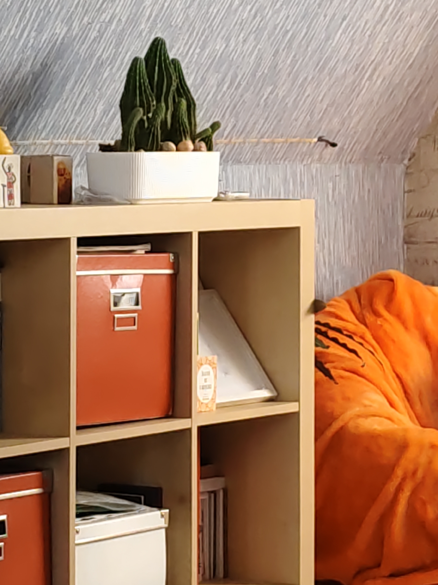 An indoor scene features a tan shelving unit against a wall with a textured, diagonal striped pattern. On the top shelf of the unit, a white rectangular planter holds a cluster of dark green cactus plants with a few small, light brown stones at their base. To the left of the planter, a small, square brown box with a gold emblem sits on the shelf. To the right of the shelf, partially visible, is a light yellow object.
The middle shelf on the left side contains a rectangular, reddish-orange storage box with silver trim and handles. The middle shelf on the right side holds a white, triangular object leaning against the back of the shelf.
The bottom shelf on the left side contains another reddish-orange rectangular storage box, similar to the one above it, with silver trim and handles. To its right, a white storage box is visible, containing what appears to be papers or documents. On the far right of the bottom shelf, a stack of slim items, possibly books or CDs, is present.
To the right of the shelving unit, a large, plush, bright orange blanket is draped, featuring a black tiger stripe pattern. The blanket is bunched up, suggesting it is part of a seating area or bed. The background wall, where the blanket is situated, appears to be made of brick and has some light-colored textured wallpaper.
The lighting in the scene is soft and diffused, creating a cozy indoor atmosphere. No people are present in the image. The location is an interior space, possibly a living room or bedroom.