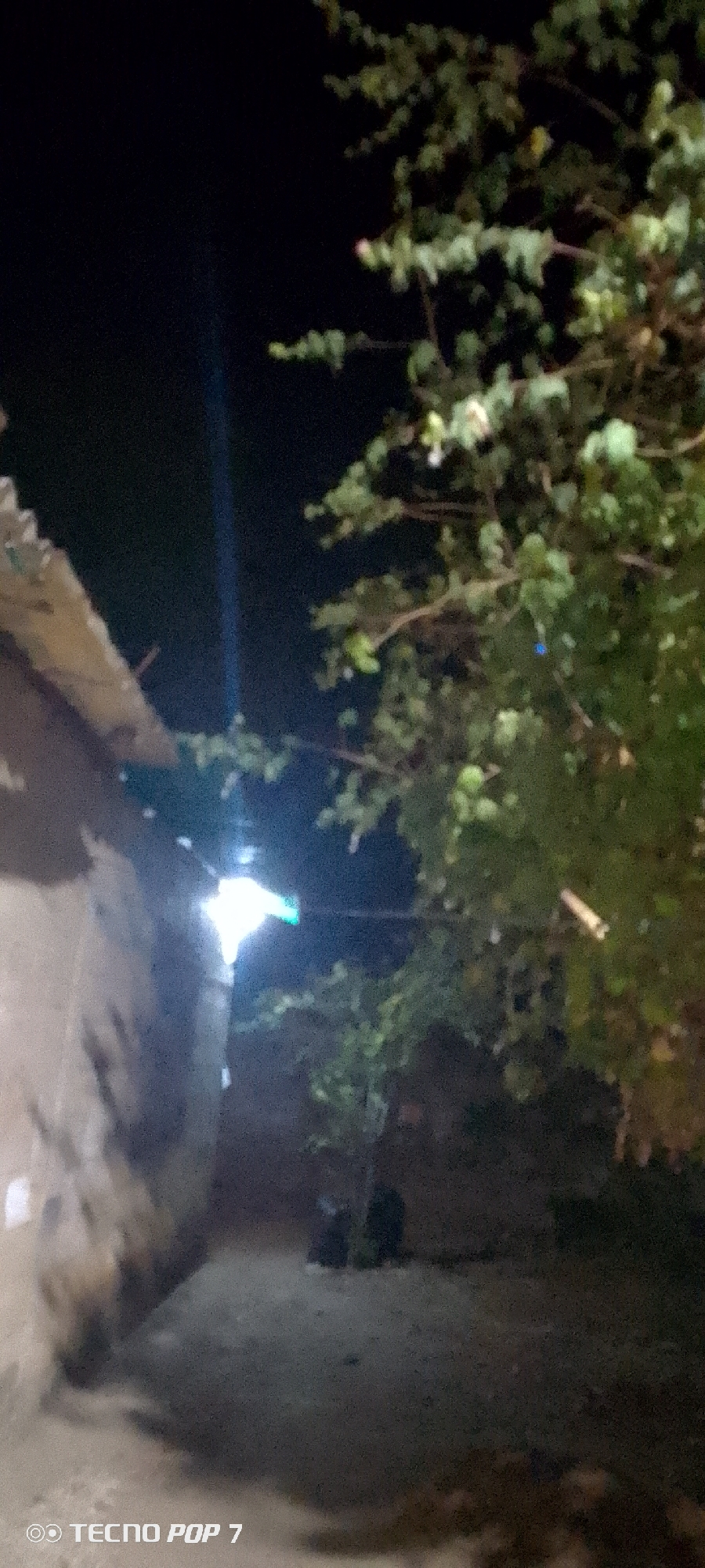 The image depicts an outdoor scene at night in Altagracia, Venezuela. On the left, there is a partially visible building with a sloped roof. A bright light source is positioned near the building. To the right of the building, there is a tree with dense foliage. The ground is dark and appears to be a dirt or unpaved surface. The overall lighting is dim. The Tecno Pop 7 watermark appears in the bottom left corner.