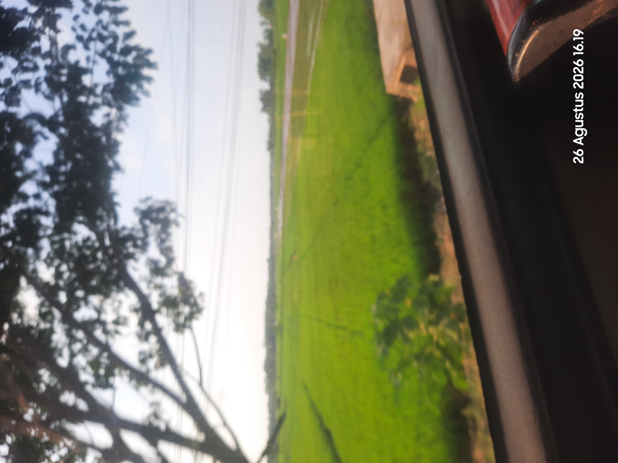 This is a slightly blurred outdoor photograph taken from a vehicle, likely a bus or train, looking out of a window. In the foreground, a dark, curved surface, possibly the interior of the vehicle, dominates the bottom of the frame. Beyond this, a vibrant green field stretches into the distance. The field appears to be a rice paddy, with subtle textures indicating rows or water. In the mid-ground, a narrow path or road runs horizontally across the scene, reflecting some light. A line of trees and foliage borders the far edge of the field. Above the field, thin, horizontal lines, possibly power lines, are visible against a pale sky. To the left, the dark silhouette of a large tree with many branches partially obscures the view of the sky and power lines. The timestamp "26 Agustus 2026 16.19" is present in the bottom right corner, suggesting the photograph was taken in Klaseman, Indonesia. The scene depicts a rural landscape viewed from a moving vehicle.