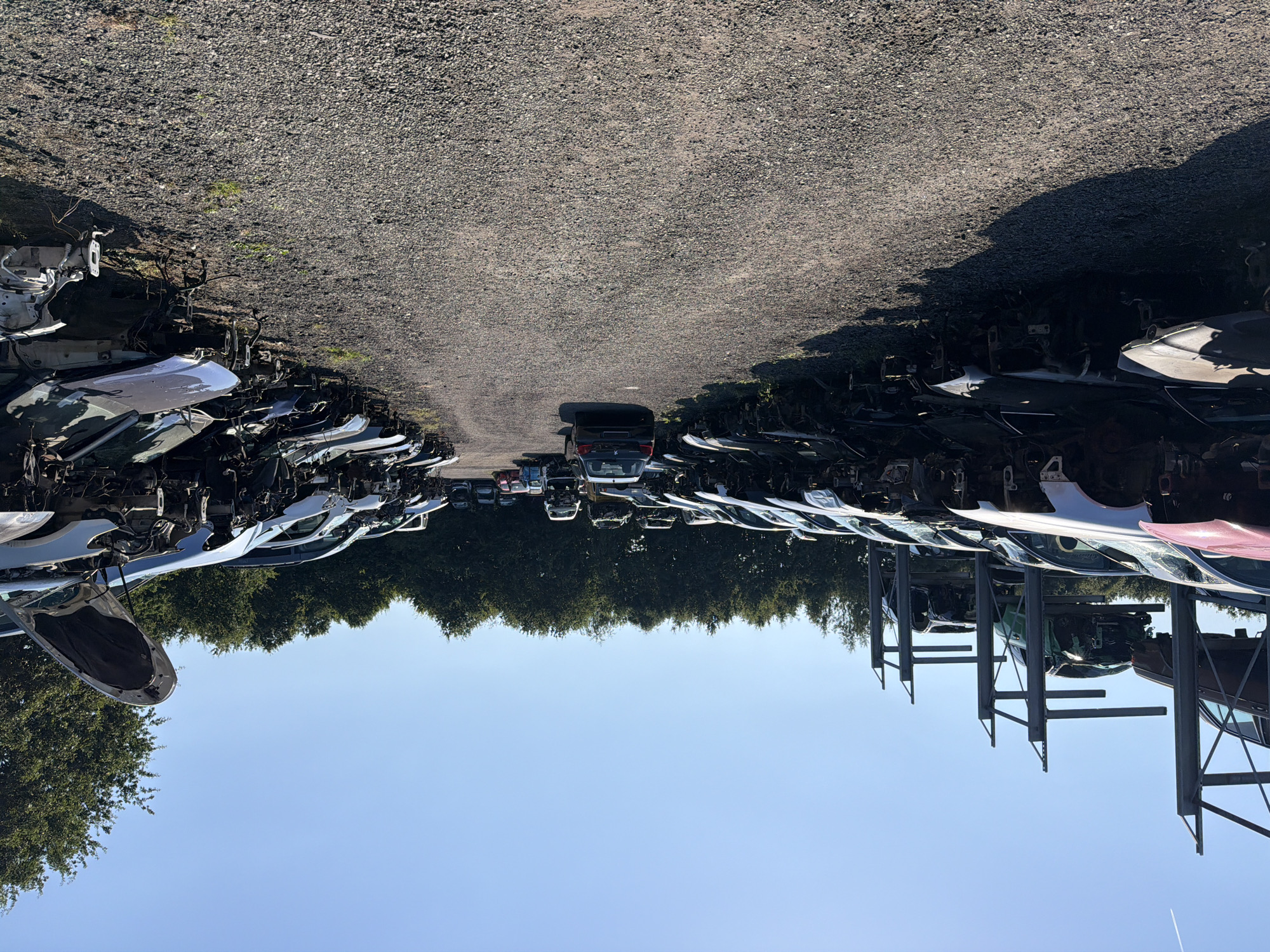 The image depicts a car junkyard under a clear blue sky, located in Neulehe, Germany. Rows of dismantled and incomplete vehicles are systematically stored on gravel ground and on metal racks. The majority of the cars are stripped of their body panels, engines, and other essential components, leaving only their chassis and frames visible. Some vehicles are stacked on top of each other on metal shelving units. In the background, a line of green trees forms a natural boundary. A narrow gravel path separates two main sections of the junkyard, with a few intact cars parked along it, one of which is a dark-colored sedan with its rear facing the camera. The scene is bathed in sunlight, casting distinct shadows on the ground.