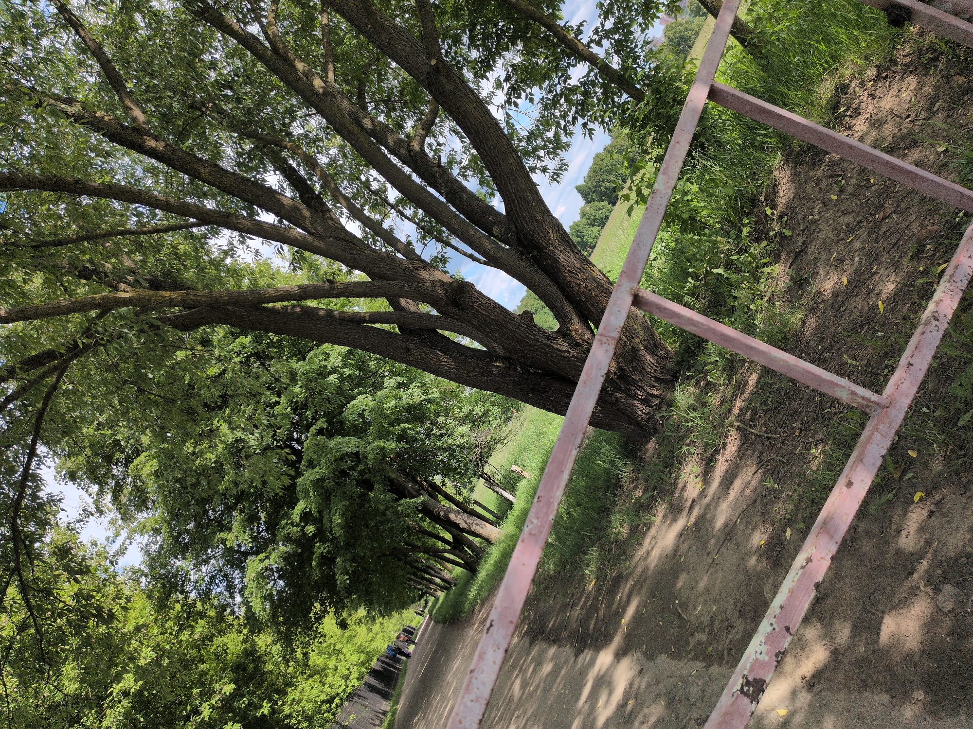 The image captures a sunlit outdoor scene, rotated counter-clockwise, depicting a path lined with mature trees in what appears to be a park or natural area in Dubrovitsy, Russia.
In the right foreground, a weathered, pinkish-red metal structure, possibly a railing or part of a ladder, runs diagonally across the frame. Its paint is peeling, revealing a lighter color underneath. To its left, a wide dirt path stretches into the background, flanked by abundant green grass and dense foliage. A large tree with a thick trunk and numerous sprawling branches dominates the midground on the left side of the path, its canopy providing shade.
Further along the path, a discernible figure, possibly wearing a blue shirt, is visible on the left, suggesting people are present, possibly walking or resting. Beyond the immediate trees, a clear blue sky with scattered white clouds is visible through gaps in the green canopies. The sunlight casts dappled shadows on the path, indicating daytime, likely late morning or afternoon. The overall atmosphere is peaceful and natural, suitable for recreation. No visible text is present in the image.