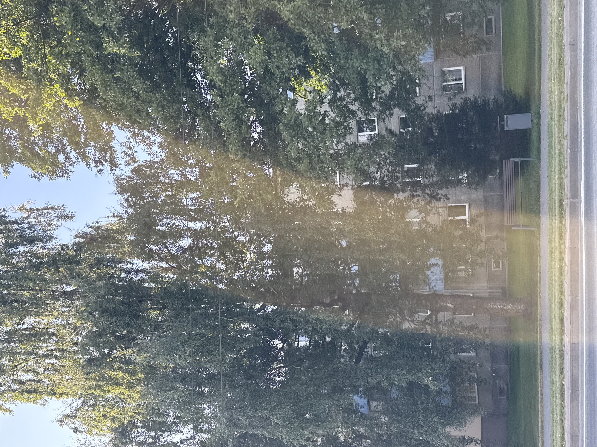The image shows a residential building in Tallinn, Estonia, partially obscured by trees. The building is a multi-story structure with numerous windows, suggesting it is an apartment complex. Several trees, including what appear to be birch trees with their distinctive white bark and weeping branches, as well as other deciduous trees with fuller foliage, are in the foreground. The trees cast shadows and dappled light on the building and the surrounding grassy area. In front of the building, a park bench and a trash receptacle are visible. The scene appears to be on a sunny day, with a clear blue sky above the trees. A road or sidewalk is visible in the lower part of the image, with a curb and a paved surface.