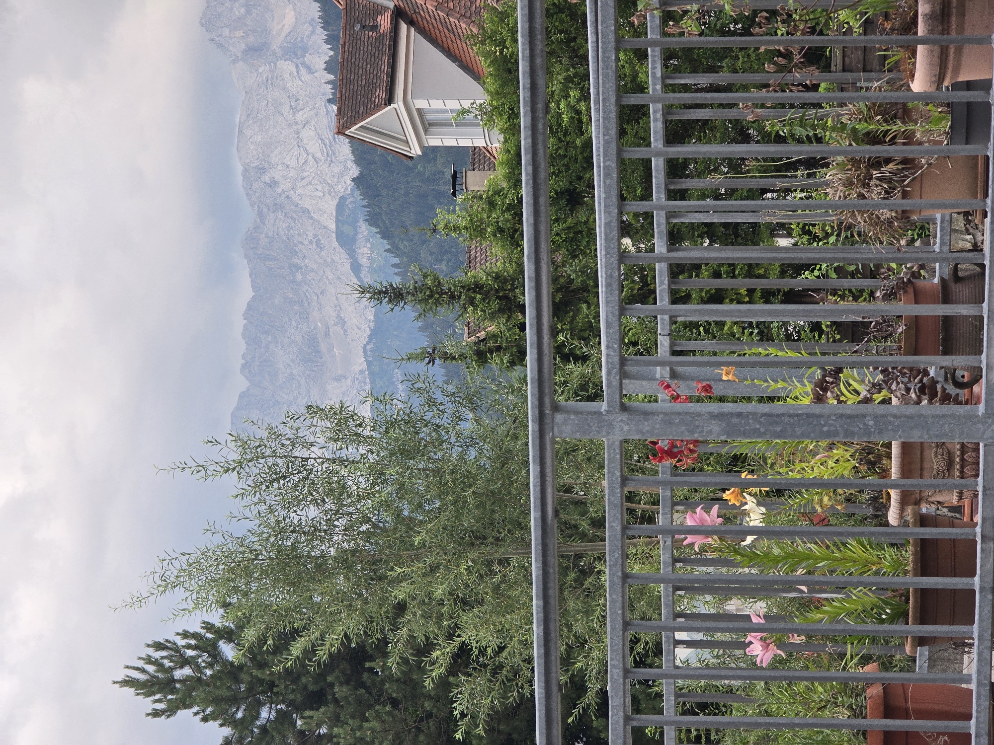 The image depicts a view from a balcony overlooking a landscape in Garmisch-Partenkirchen, Germany. In the foreground, a metal railing divides the frame, behind which various potted plants are arranged. These include flowering lilies in pink and orange hues, as well as other greenery and dried plants. Beyond the balcony, a dense forest lines the slopes of a mountain range, which dominates the background. The sky is overcast with clouds. A portion of a building with a tiled roof is visible to the right. The scene is characterized by its natural setting, with a focus on the flora and the imposing mountain scenery.
