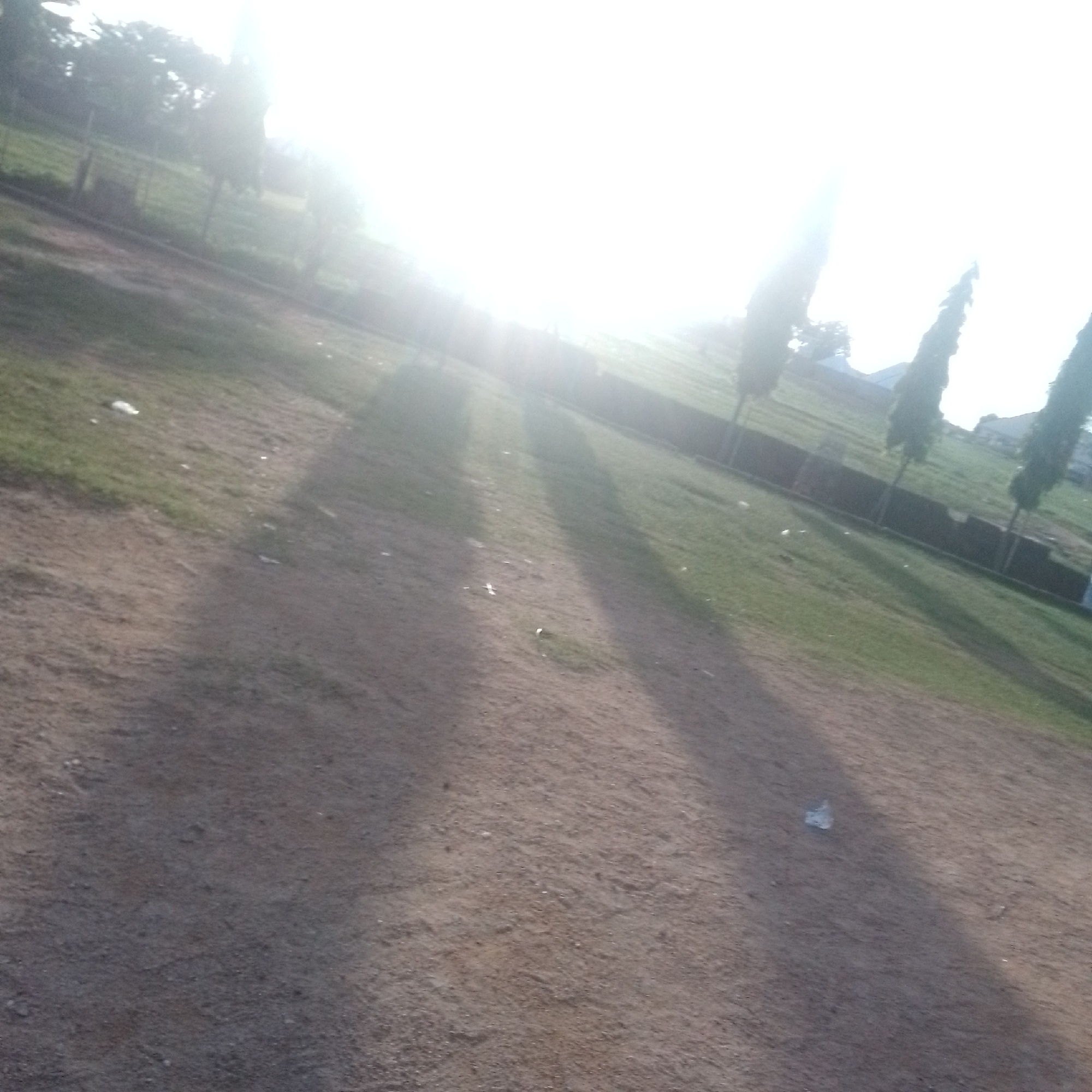 The image depicts an outdoor scene in Jalingo, Nigeria, under bright sunlight, likely during the late afternoon or early morning due to the long shadows cast across the ground. The setting appears to be a park or an open field adjacent to a street or pathway. The ground is a mix of dirt and sparse grass, with some scattered white debris.
Several tall, slender trees are visible along the right side of the frame, casting distinct shadows. A low, dark fence runs behind the trees, separating the field from what appears to be a residential or developed area with buildings and more trees in the background. The sky is heavily overexposed due to the sun, obscuring details in the upper portion of the image and creating a lens flare effect.
No people or specific objects are clearly identifiable, and no text is visible in the image. The overall impression is one of a quiet, sunlit day in a somewhat unkempt outdoor space. The overexposed sky suggests a bright, potentially hot, day.